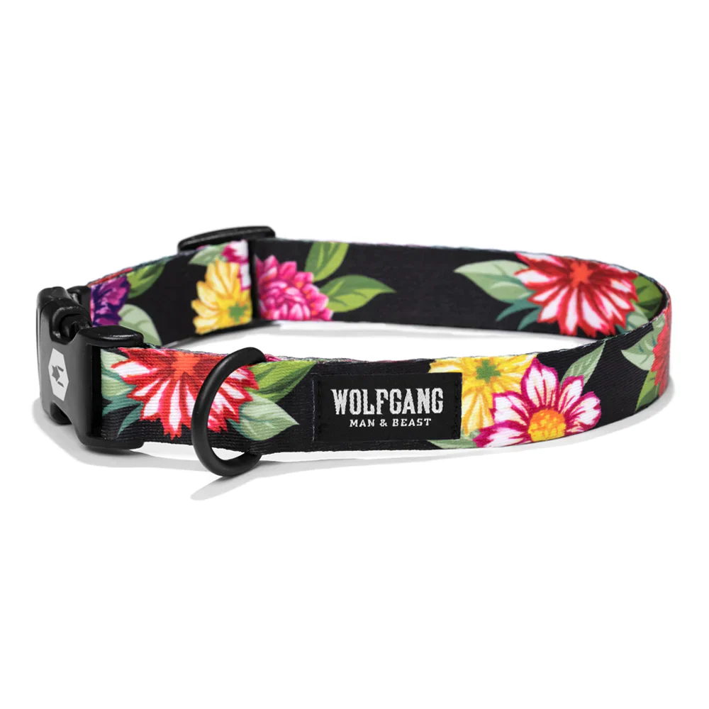 Best Sellers Collars COLLECTION - Image 4