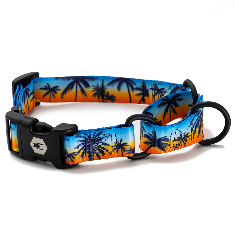Best Sellers Martingale COLLECTION - Image 3