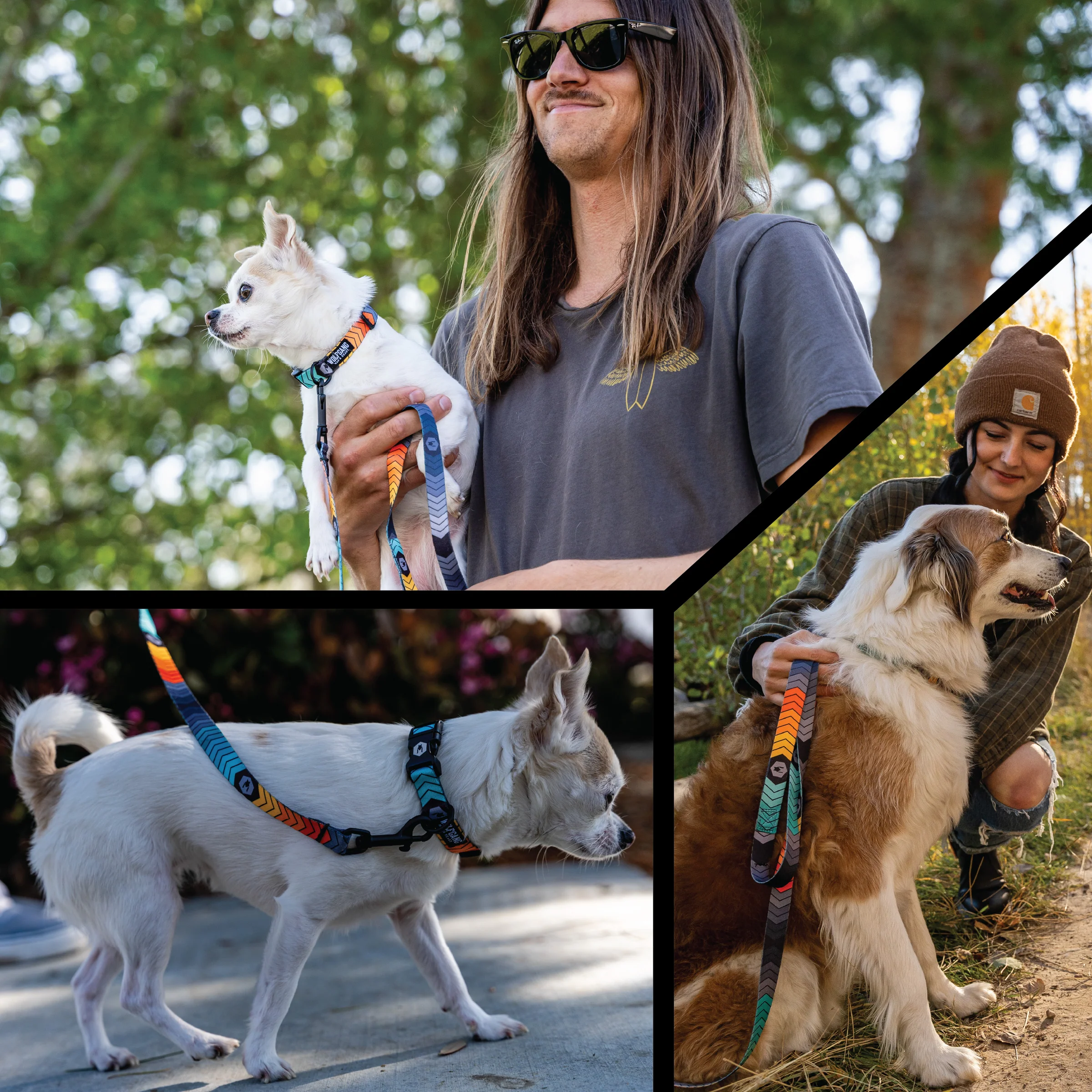 ChevTech Dog Leash - Image 6