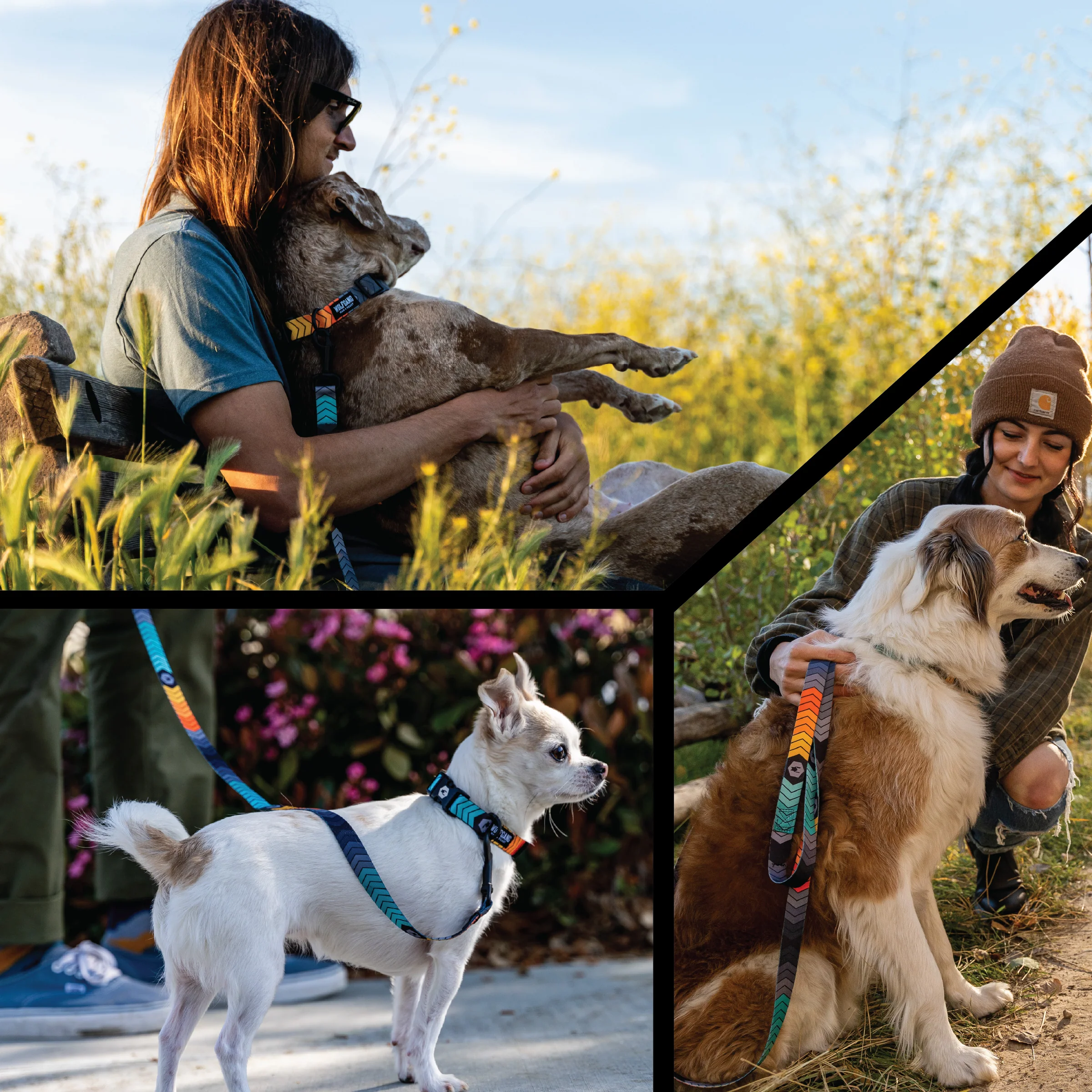 ChevTech Wide Dog Collar - Image 5