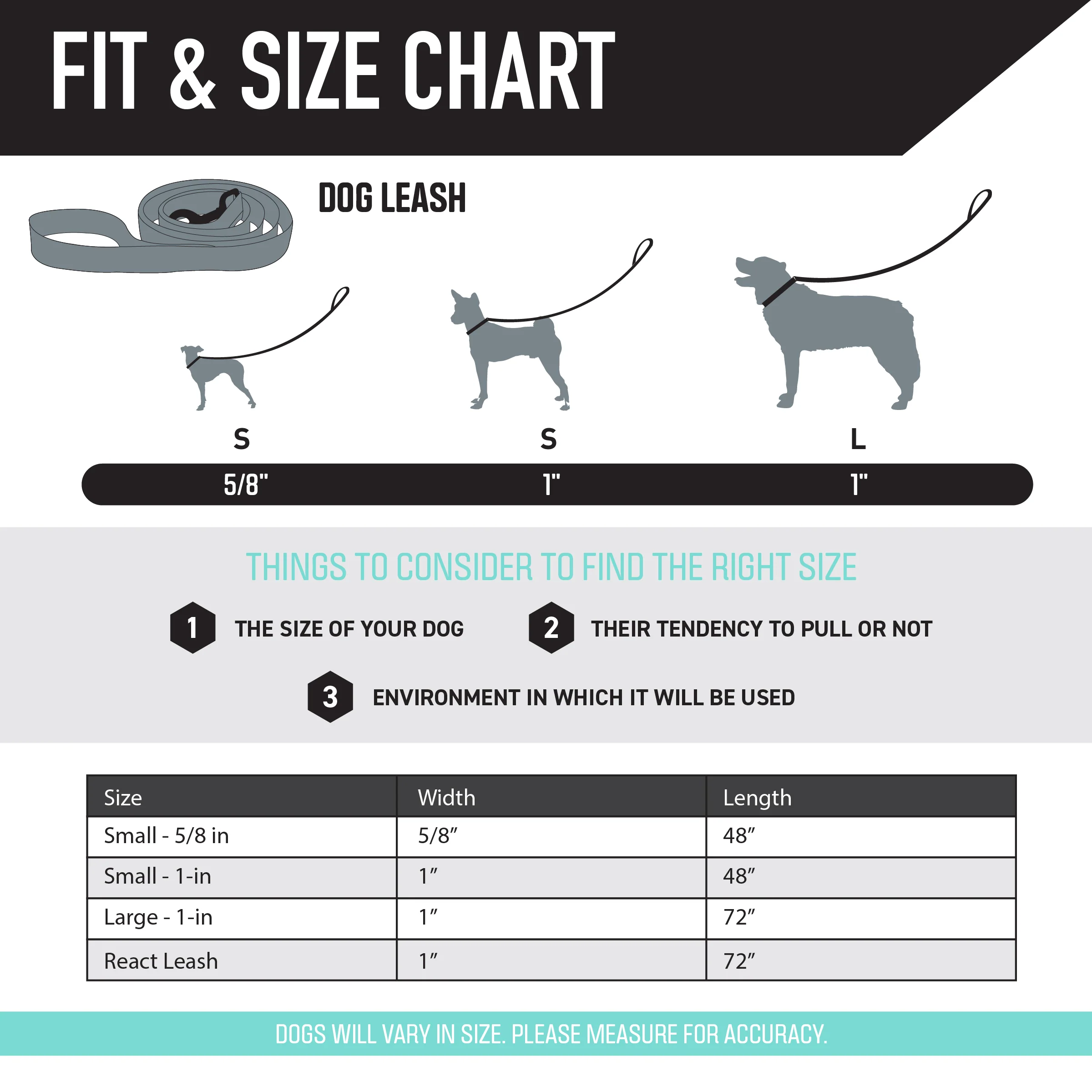 DarkSkies Dog Leash - Image 4