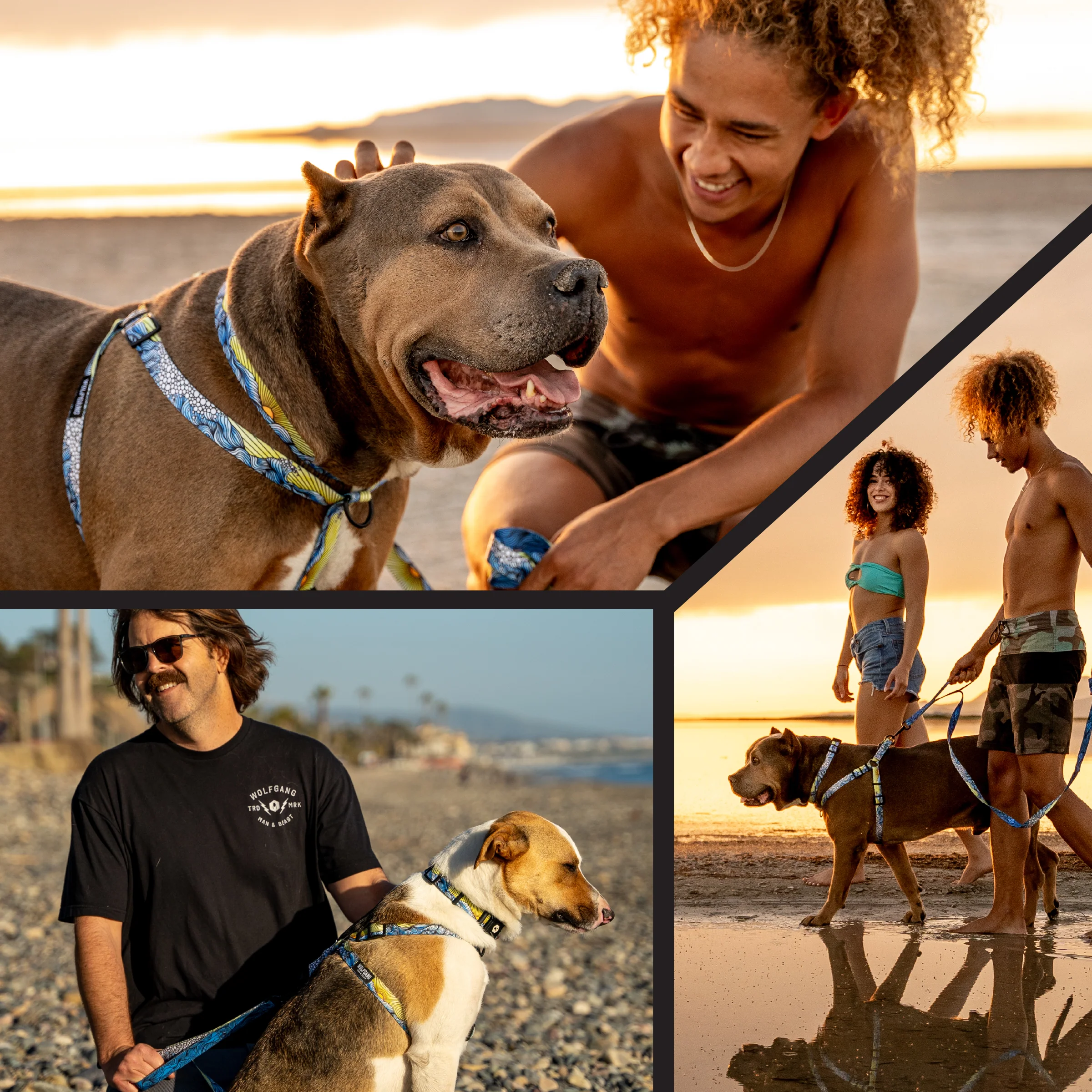 DawnPatrol Comfortable Dog Harness - Image 6