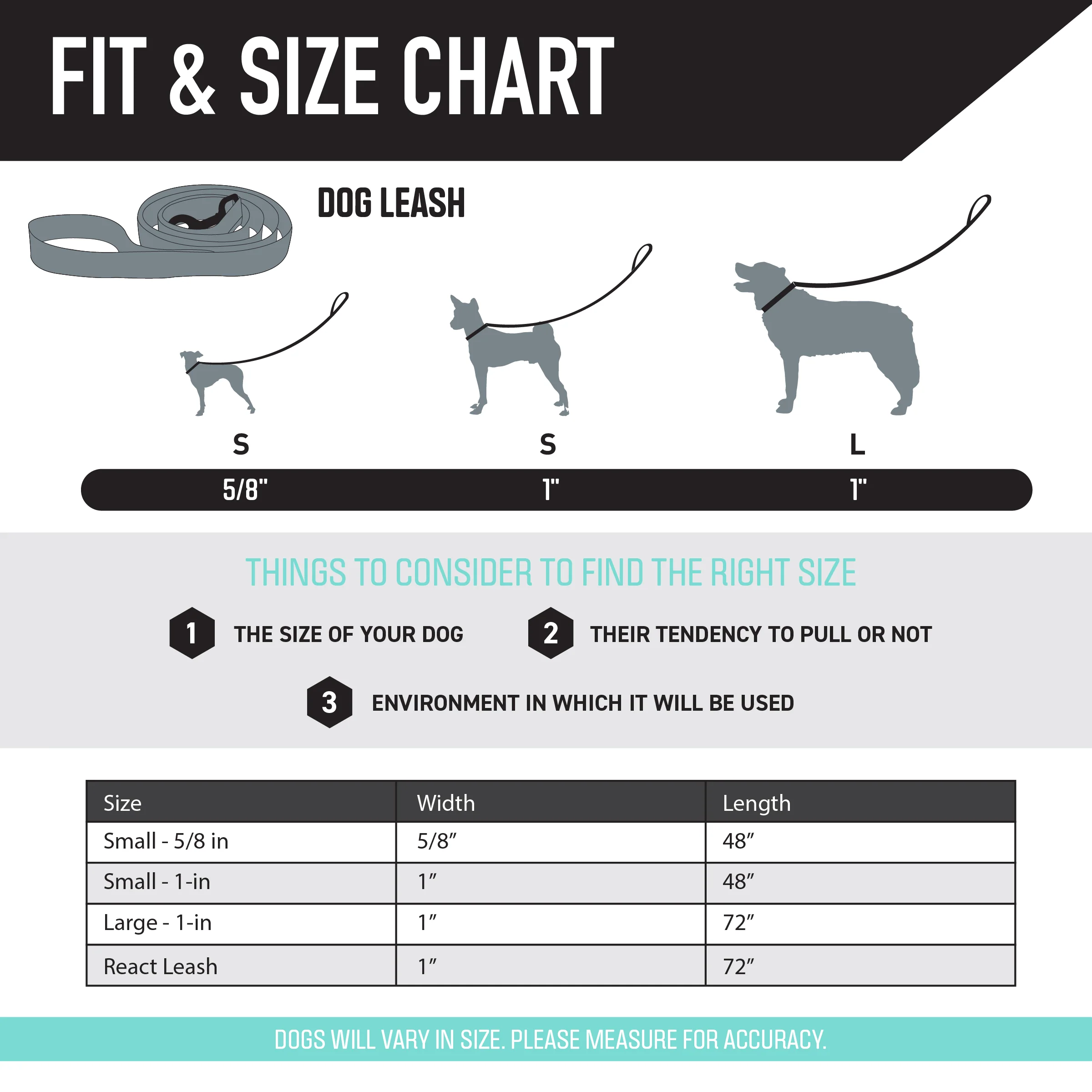 DawnPatrol Dog Leash - Image 4