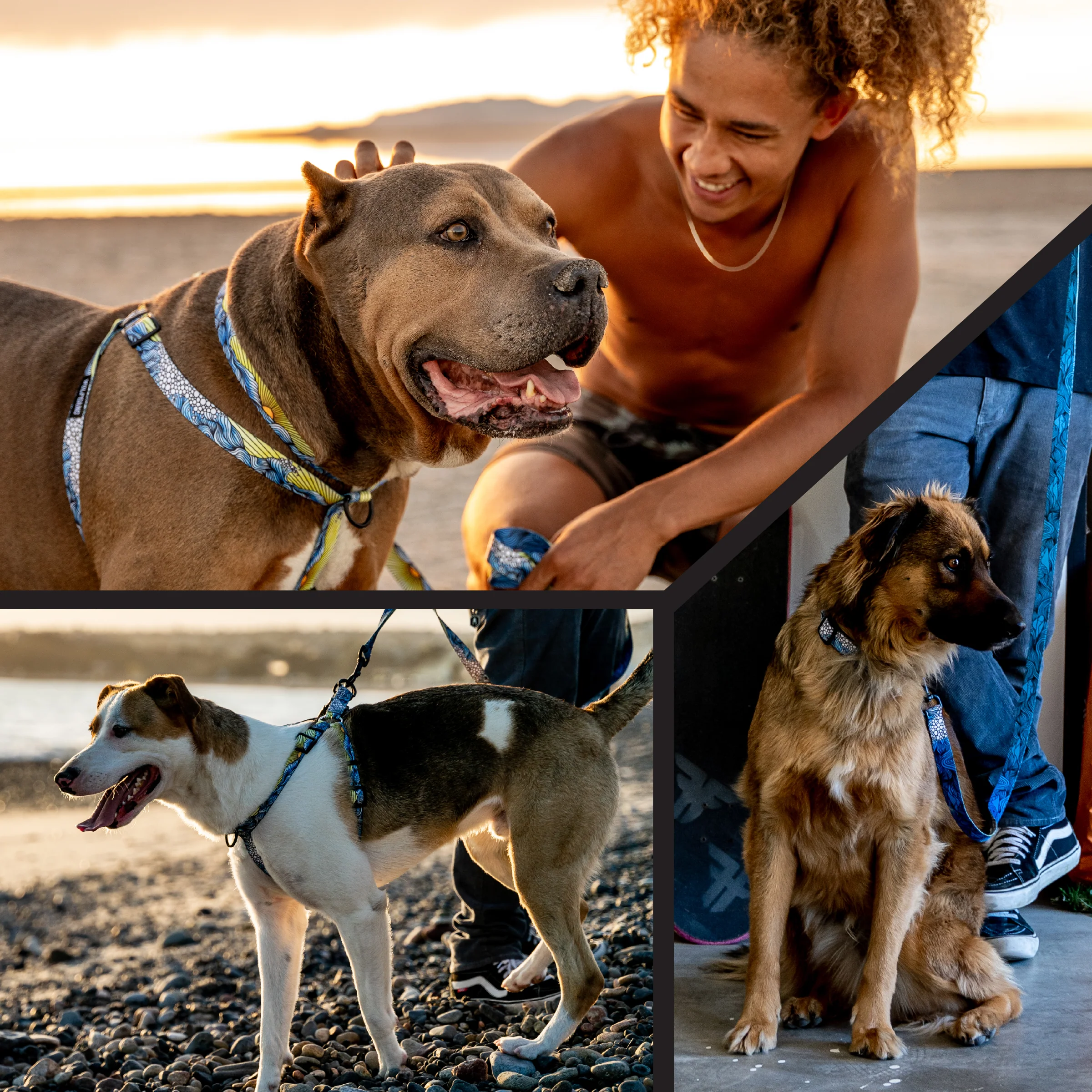 DawnPatrol Dog Leash - Image 6