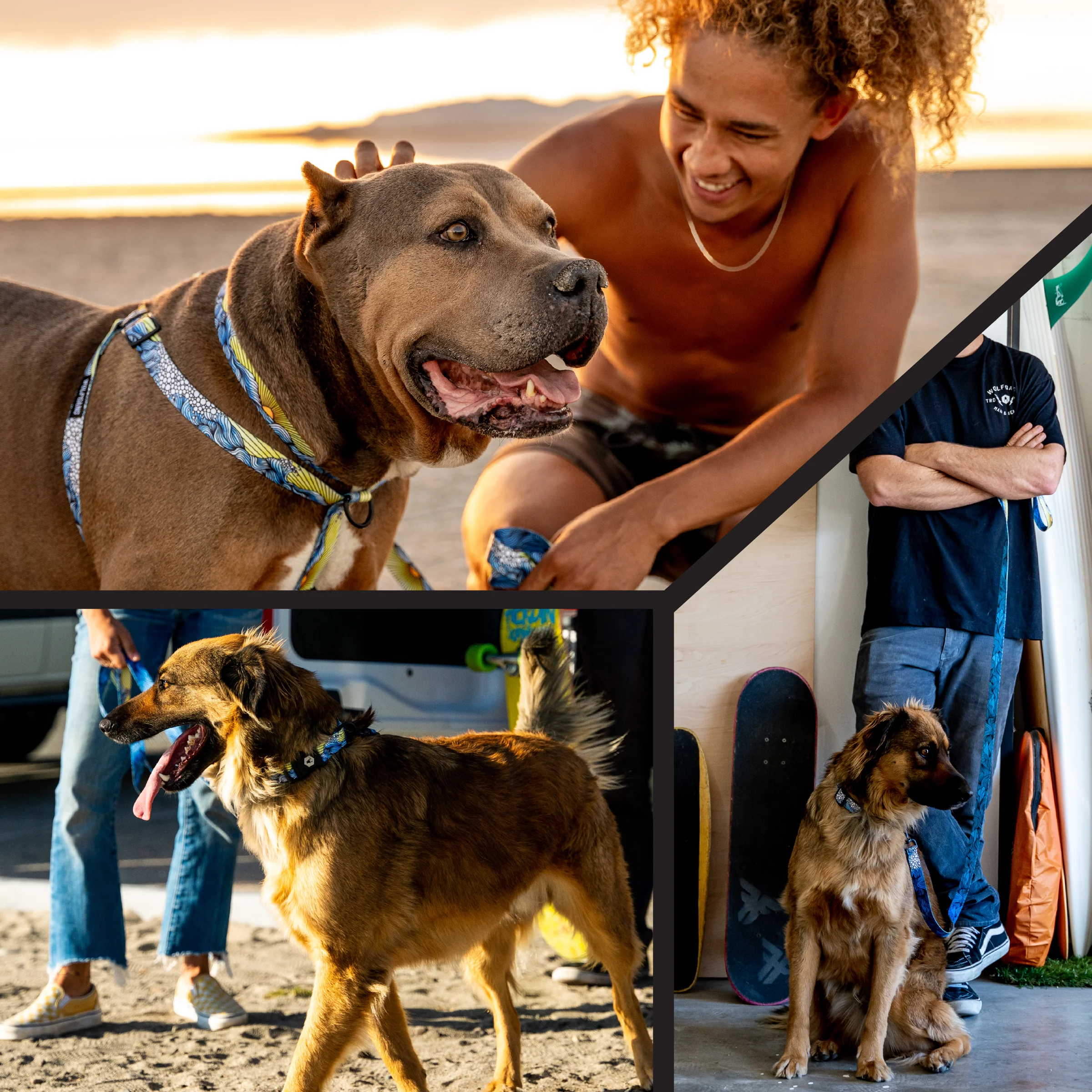 DawnPatrol Dog Collar - Image 6