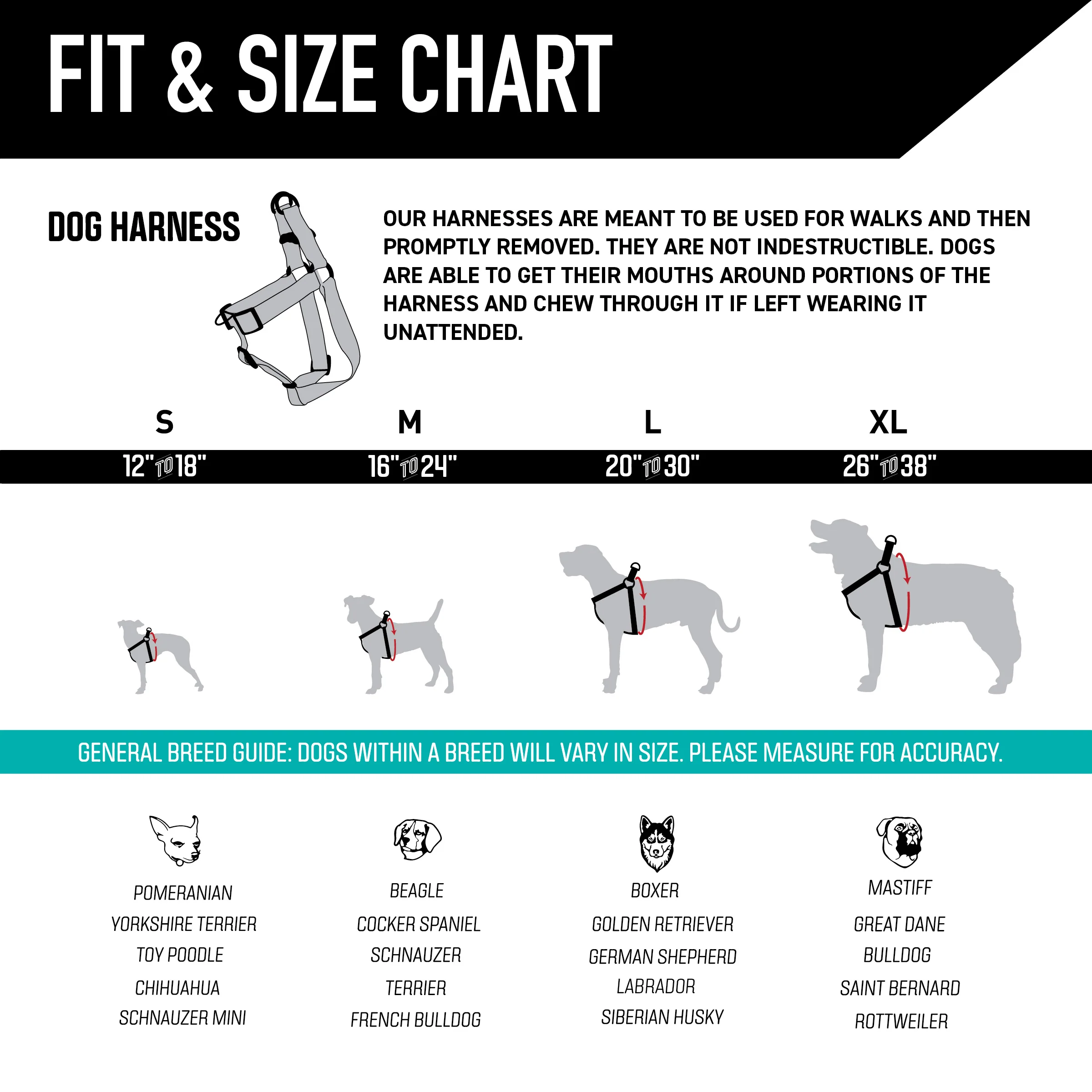 DayDream COMFORT DOG HARNESS - Image 5
