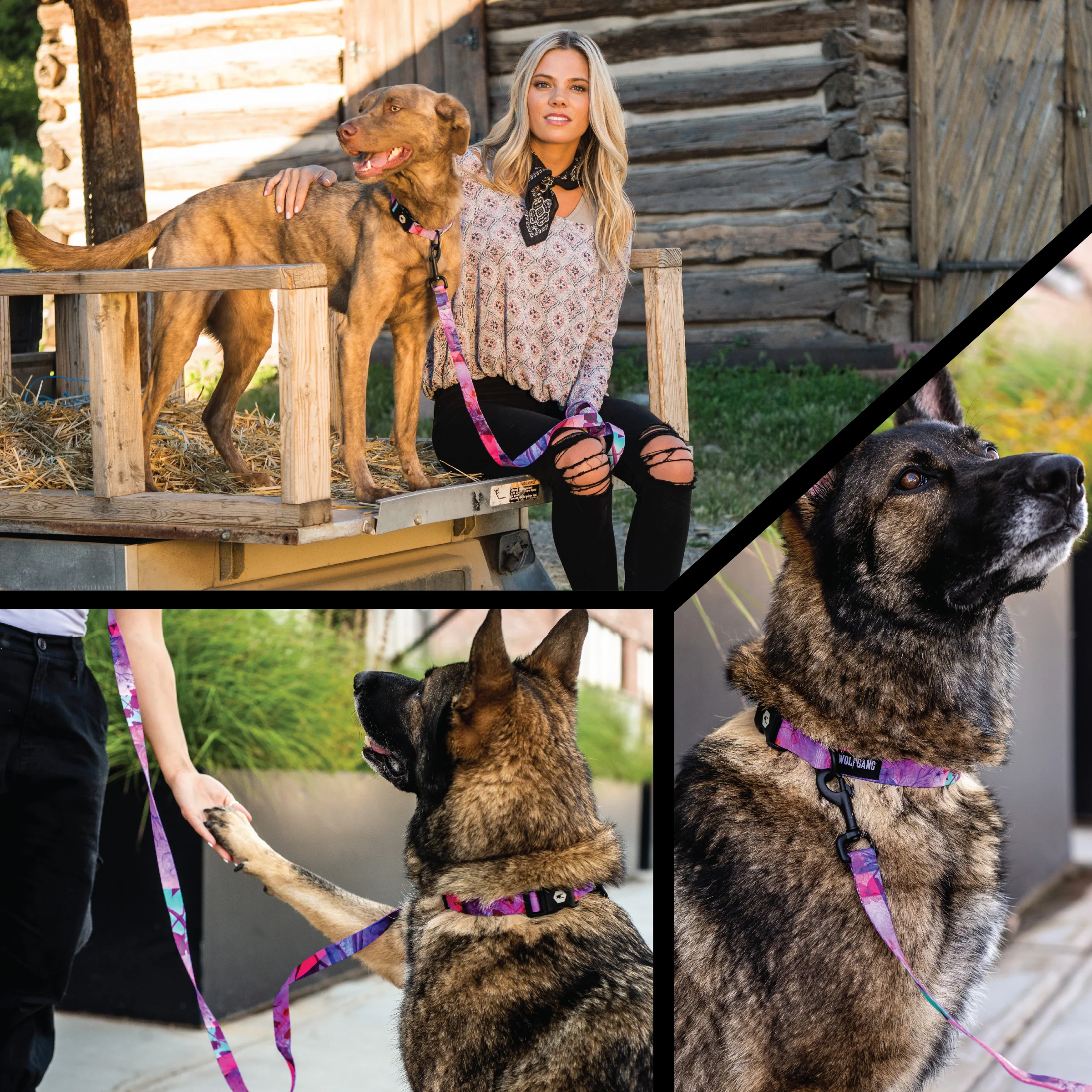 DayDream COMFORT DOG HARNESS - Image 6