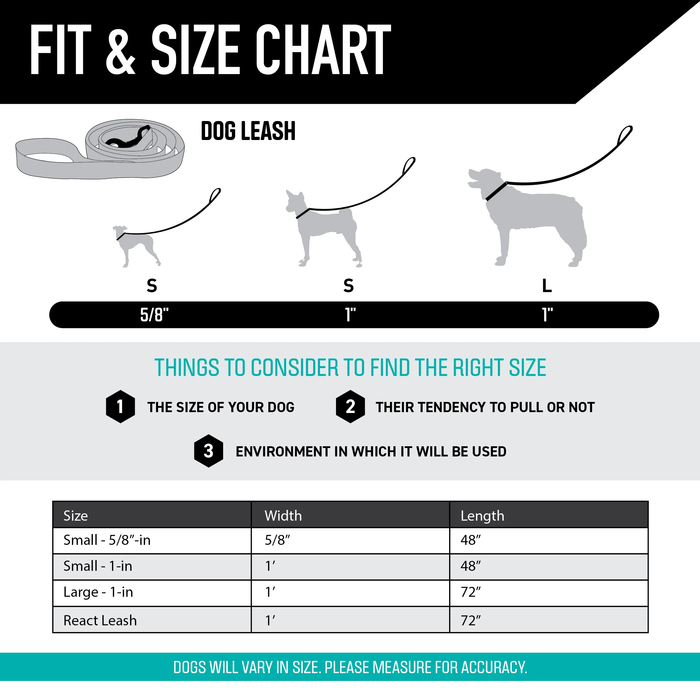 DayDream Dog Leash - Image 4