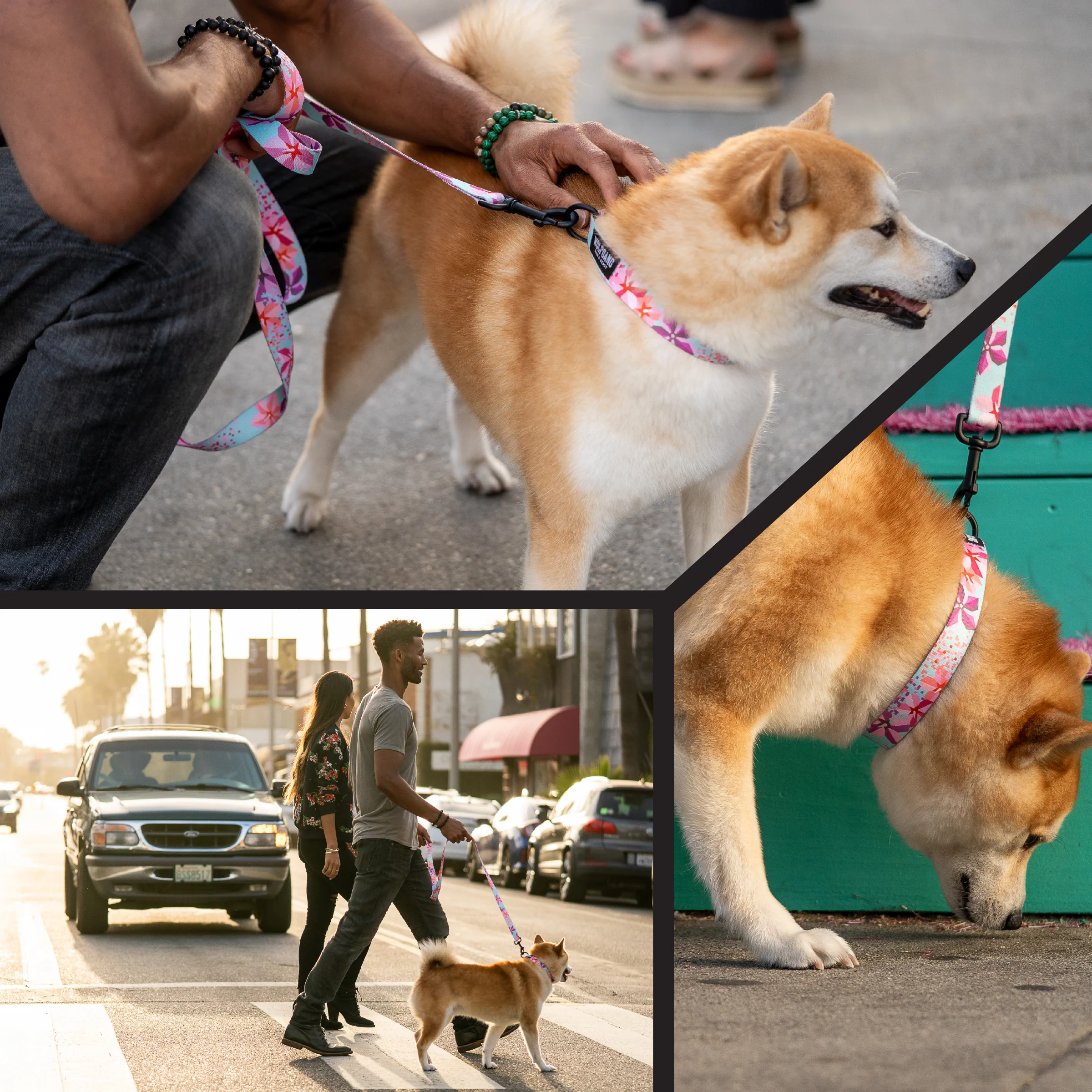 DigiFloral Dog Leash - Image 6