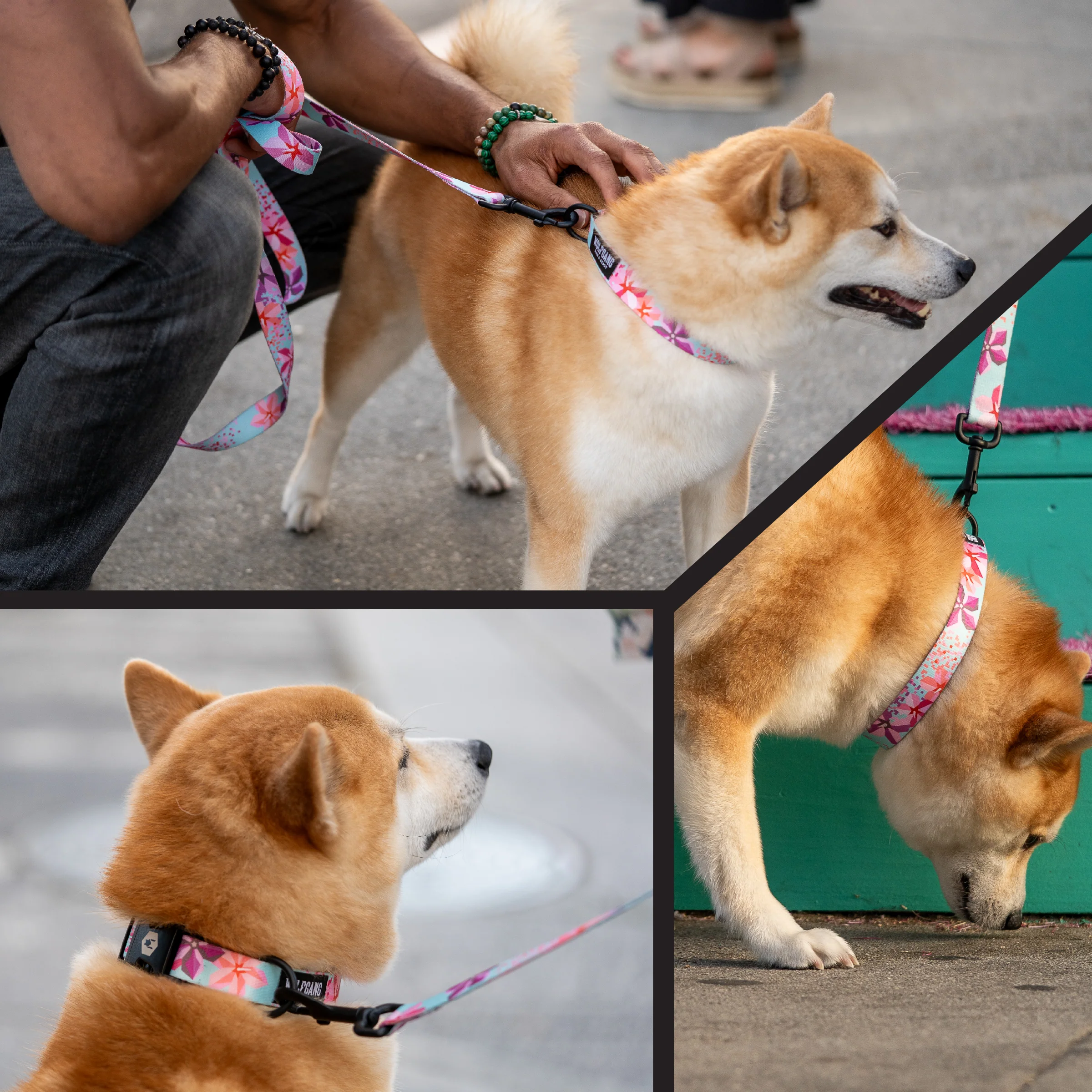 DigiFloral Dog Collar - Image 6