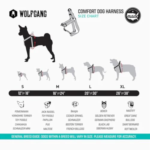 DigitalDog COMFORT DOG HARNESS - Image 5