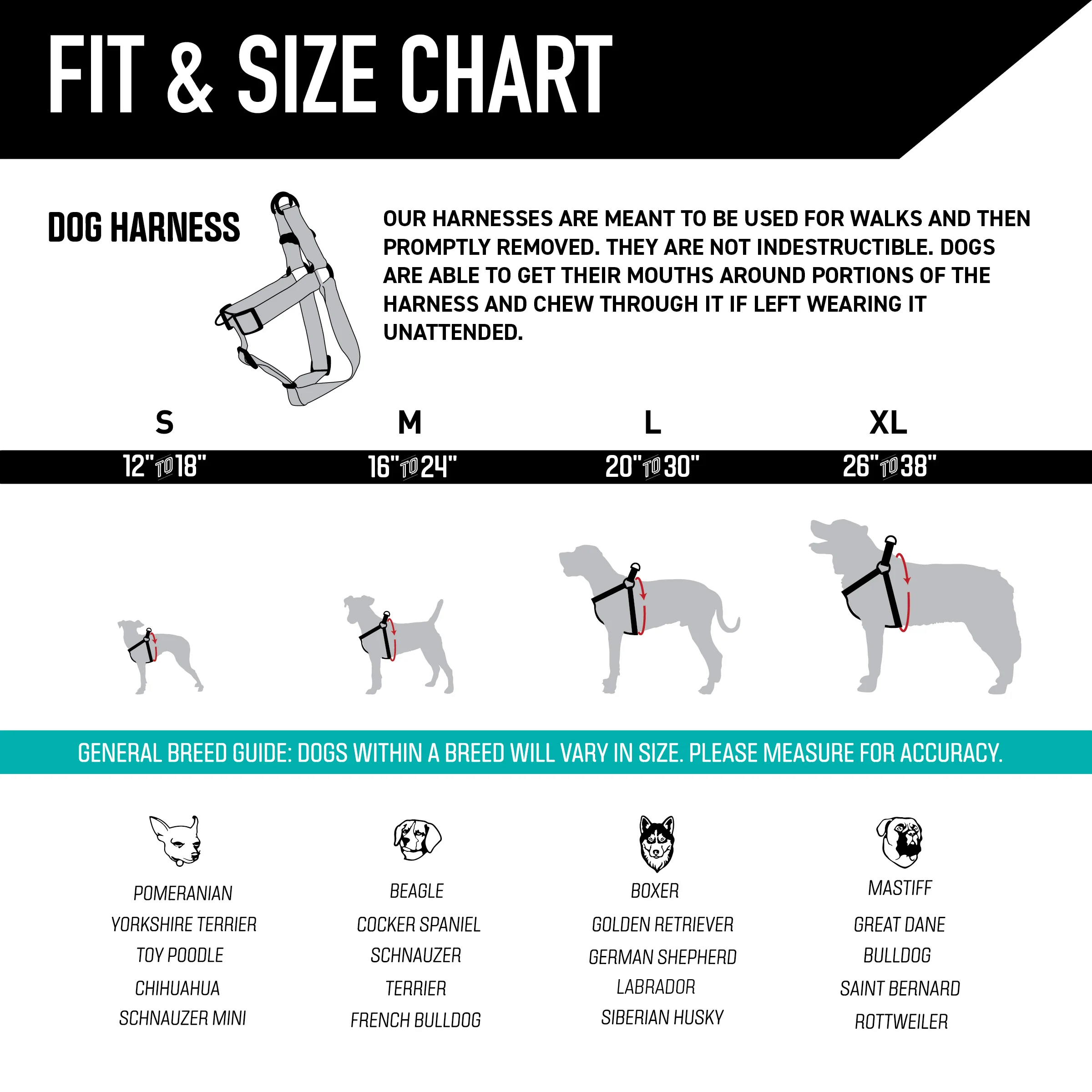 GreatEscape Dog Harness - Image 4