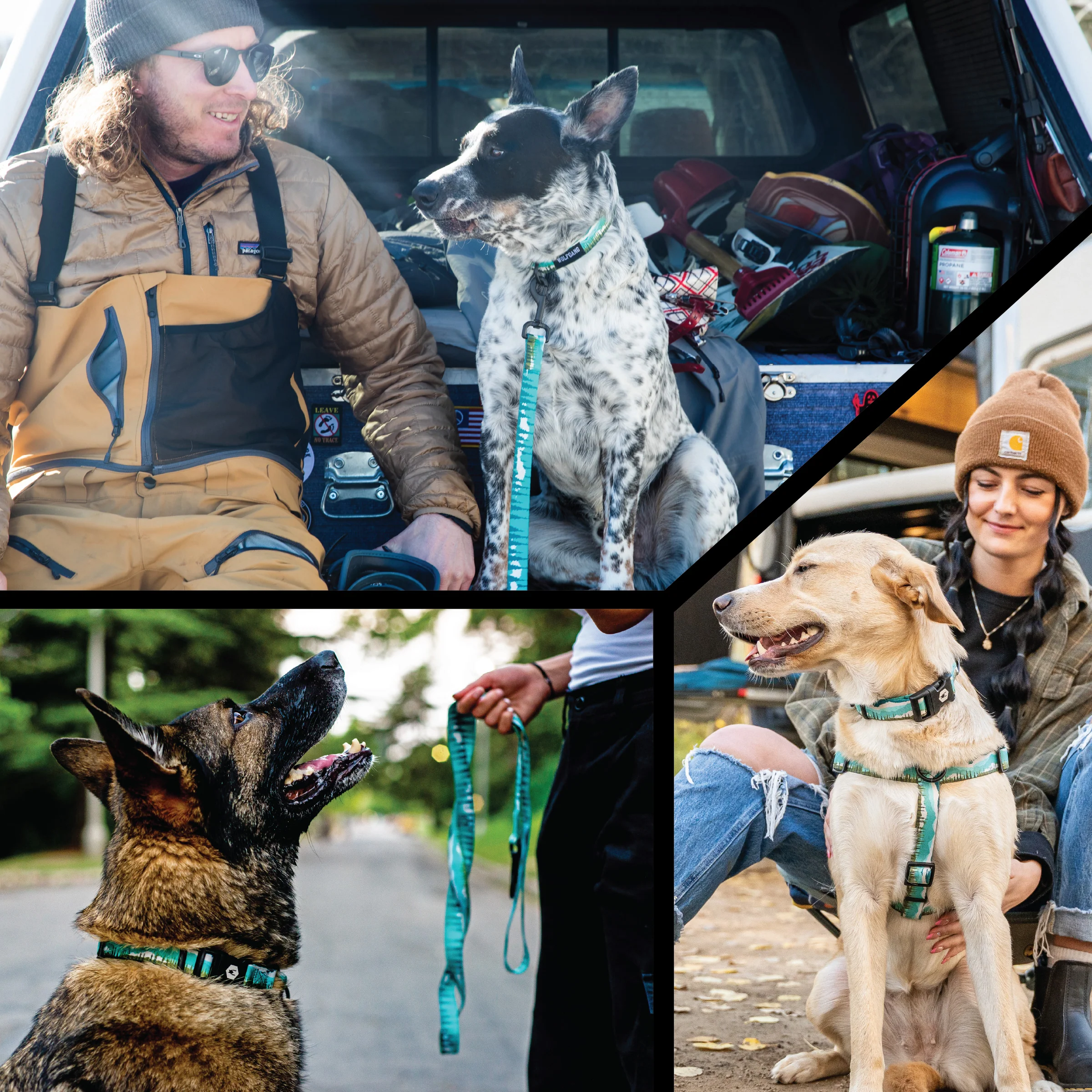 GreatEscape Wide Dog Collar - Image 5