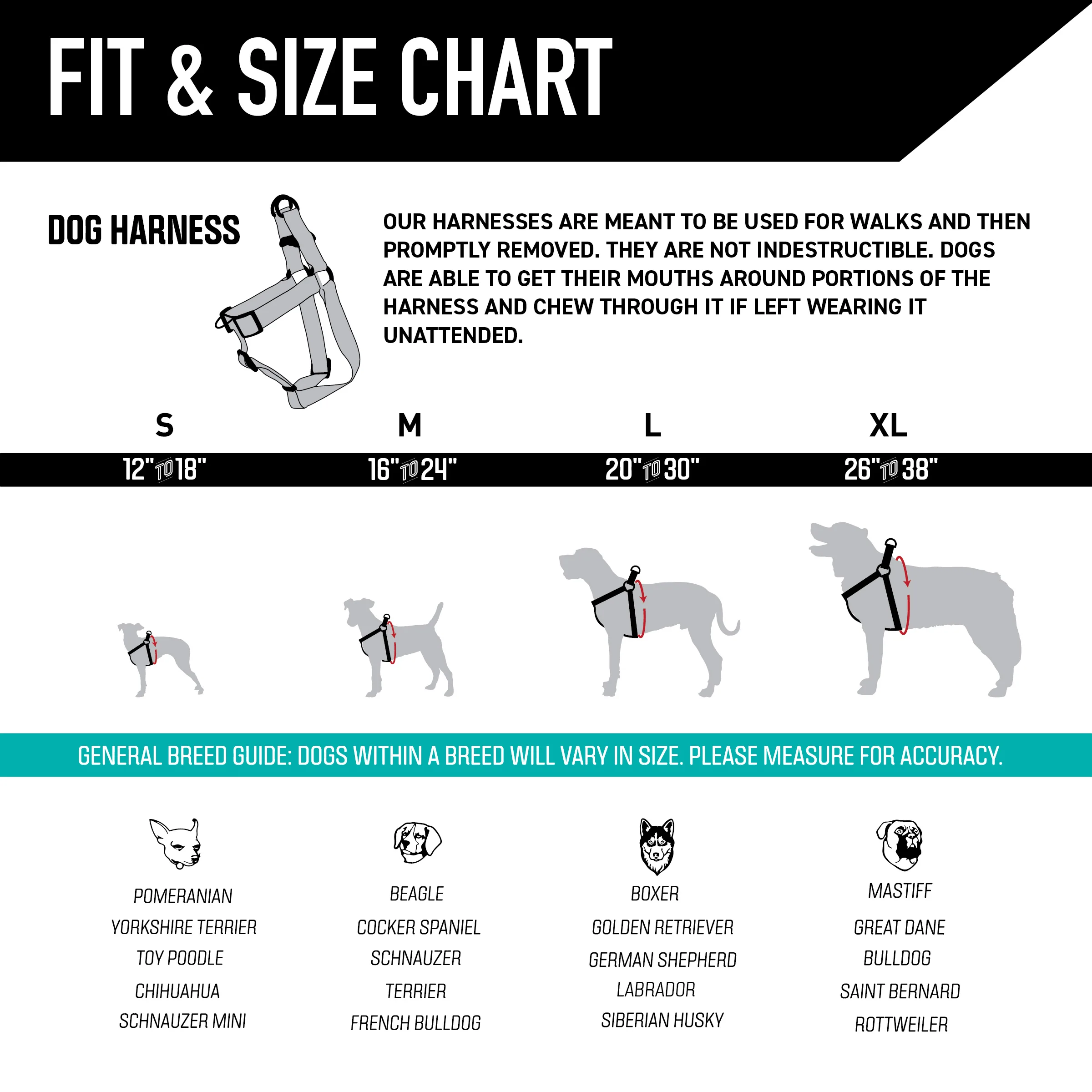 LazyDaisy COMFORT DOG HARNESS - Image 4