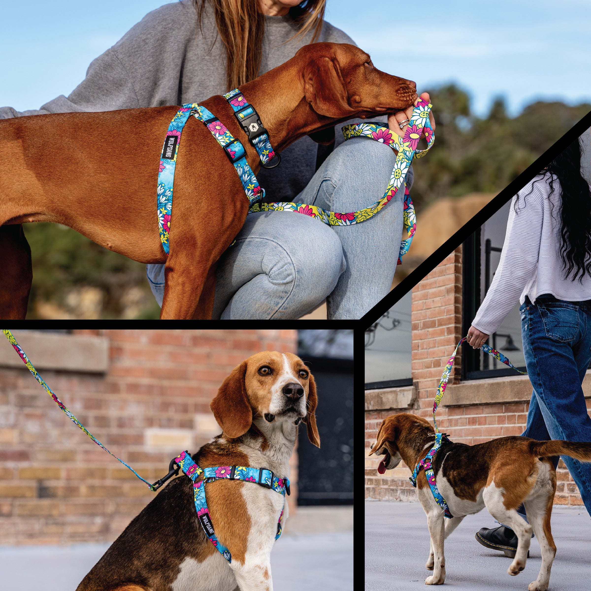 LazyDaisy COMFORT DOG HARNESS - Image 6