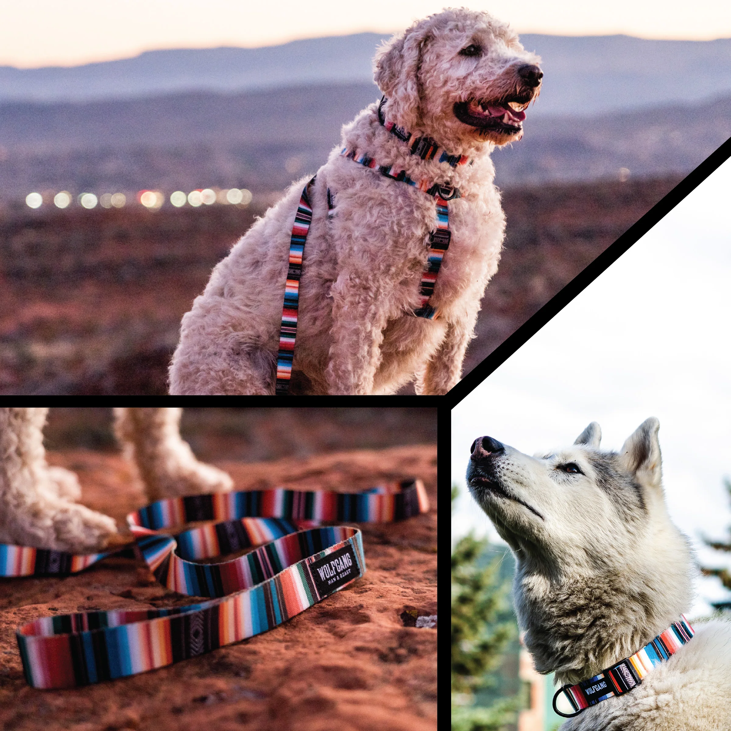 LostArt Dog Harness - Image 6
