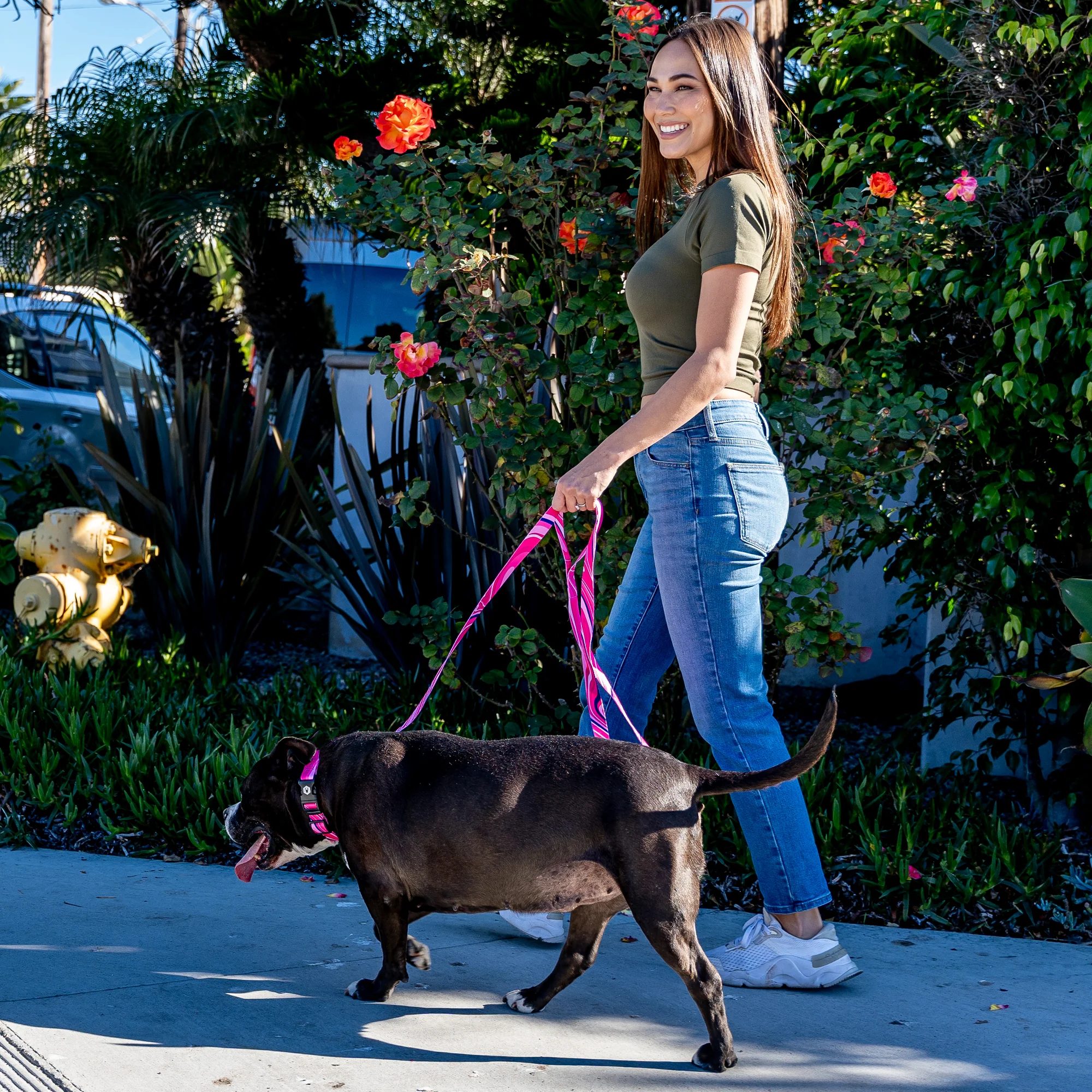 MarbleSwirl Dog Leash - Image 5