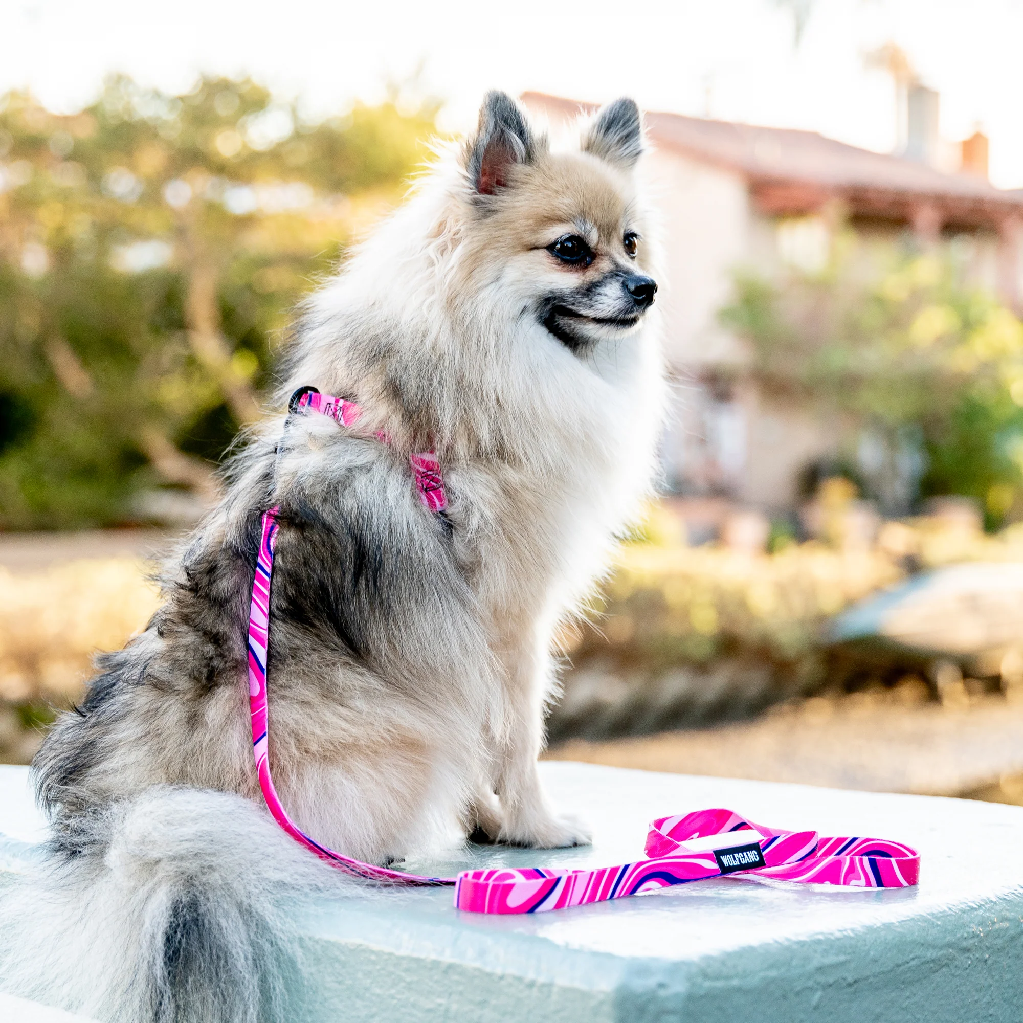 MarbleSwirl Dog Leash - Image 6