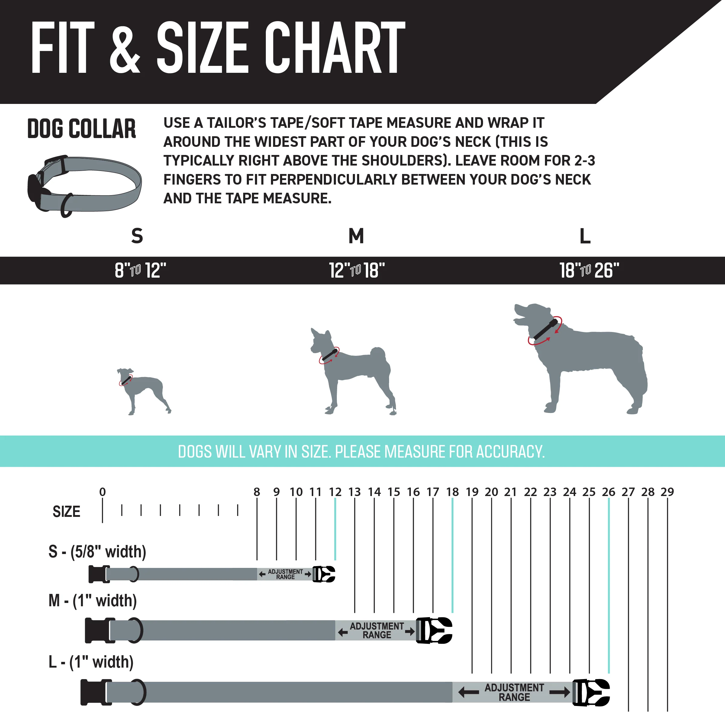 MountainVibes Dog Collar - Image 4
