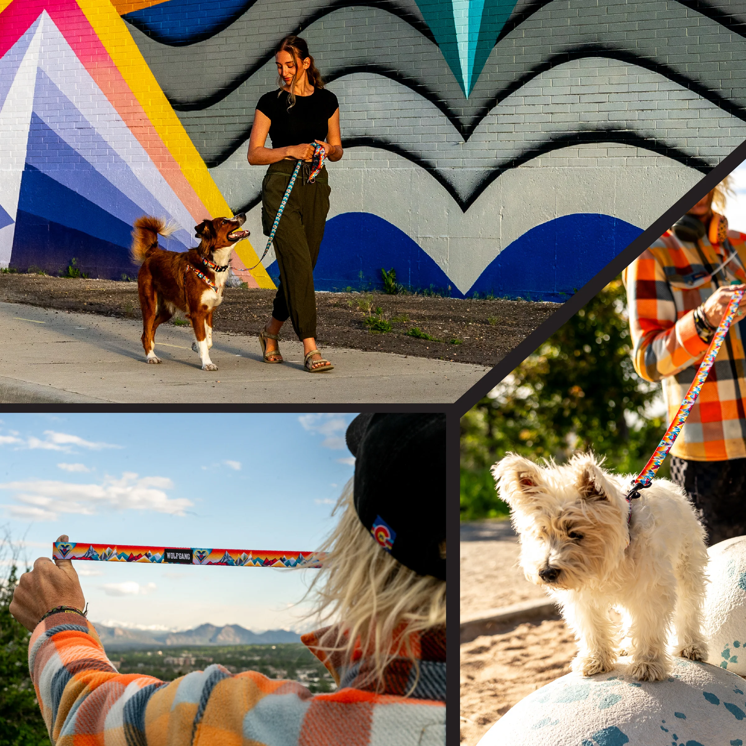 MountainVibes Dog Leash - Image 6