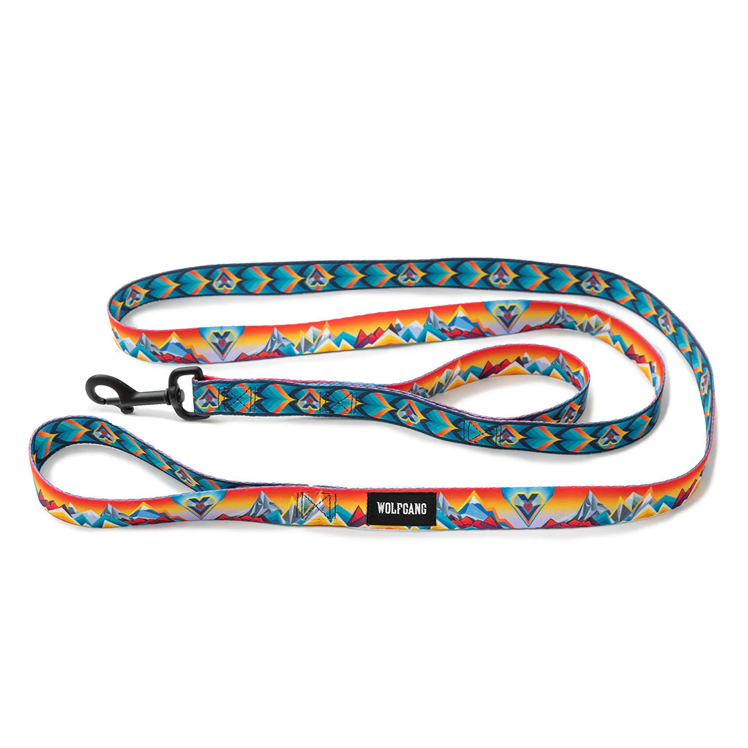 MountainVibes REACT DUAL-HANDLE DOG LEASH