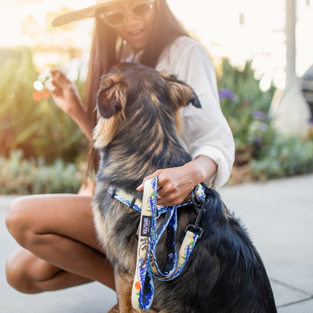MountainWave Dog Leash - Image 5