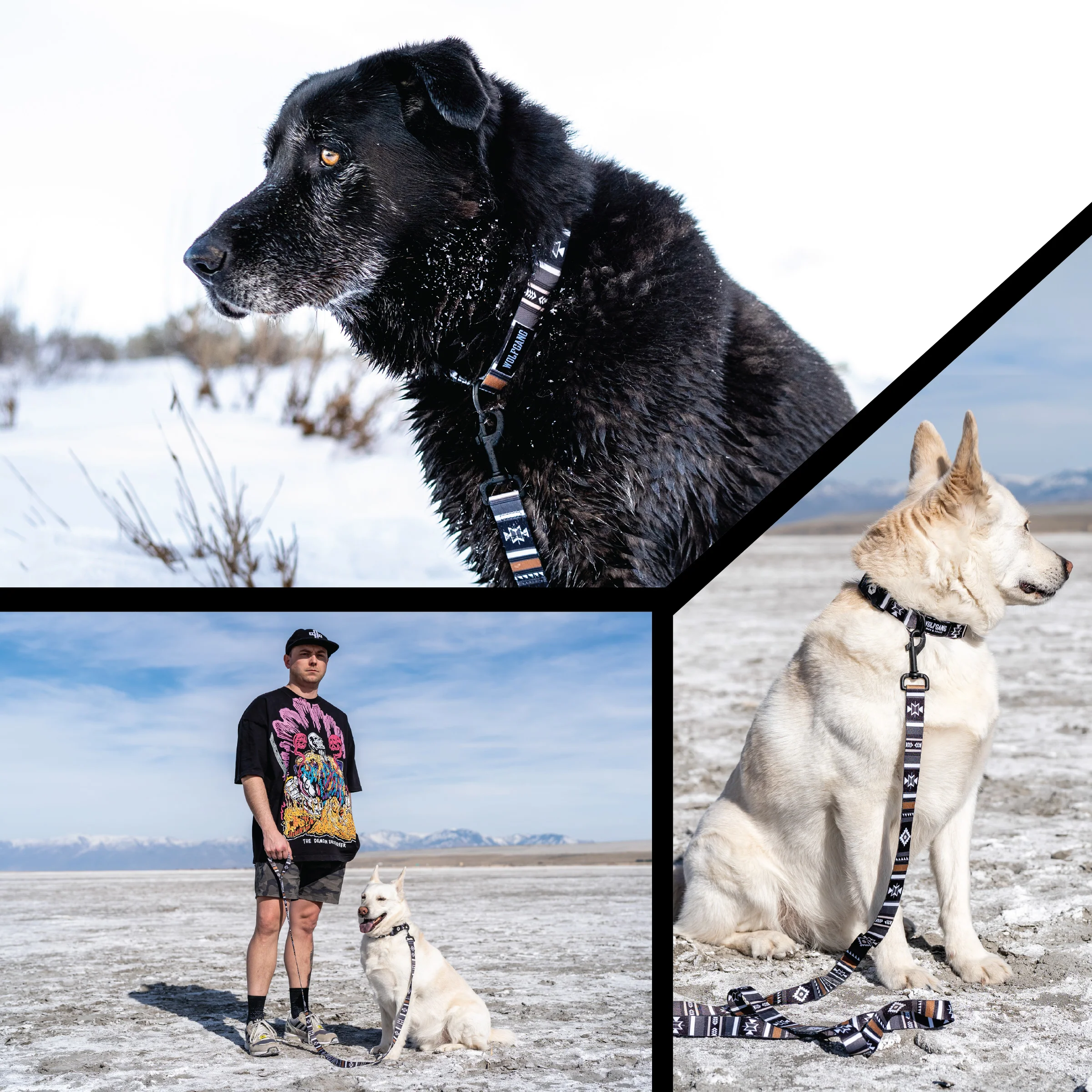 NewMoon Dog Leash - Image 6