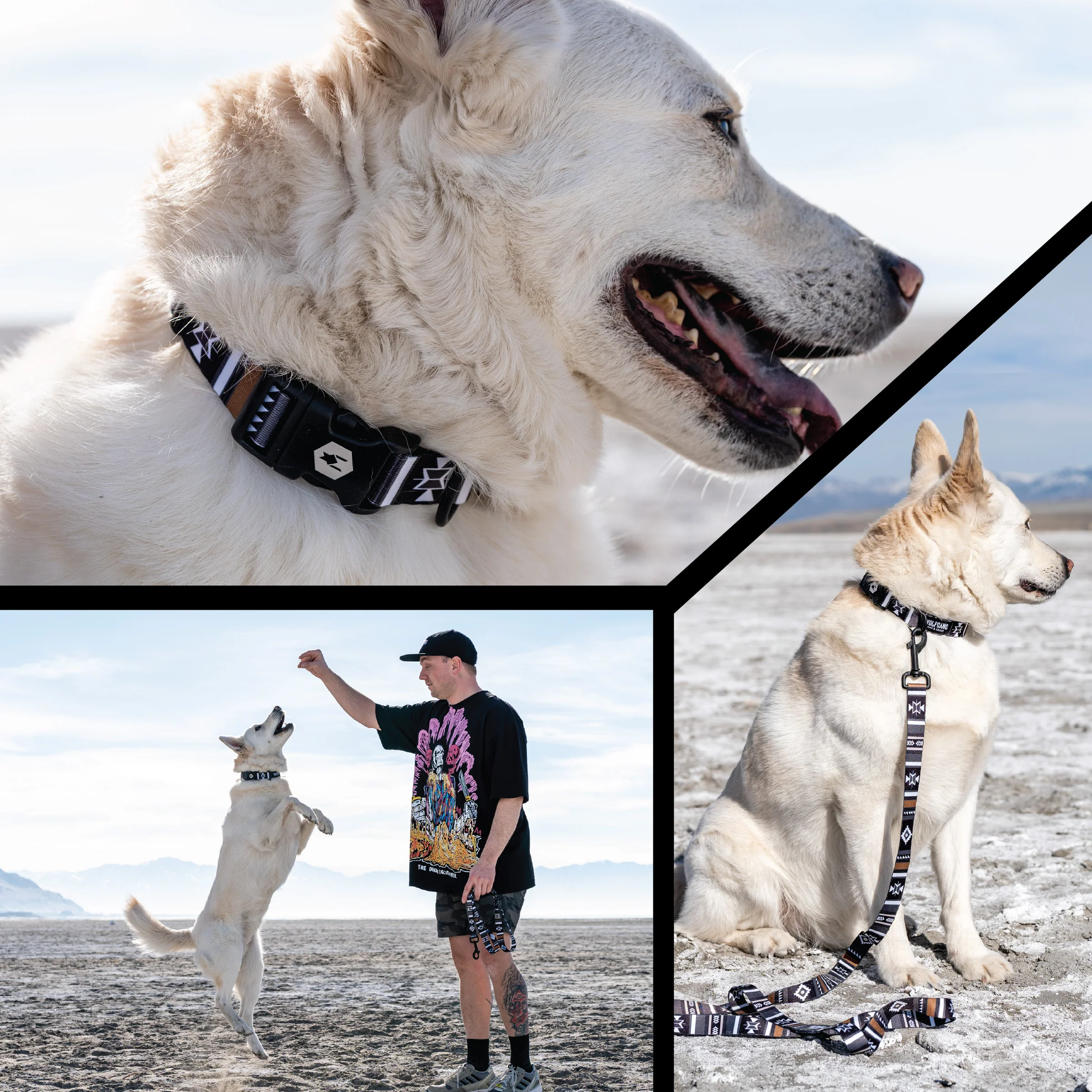 NewMoon Wide Dog Collar - Image 5