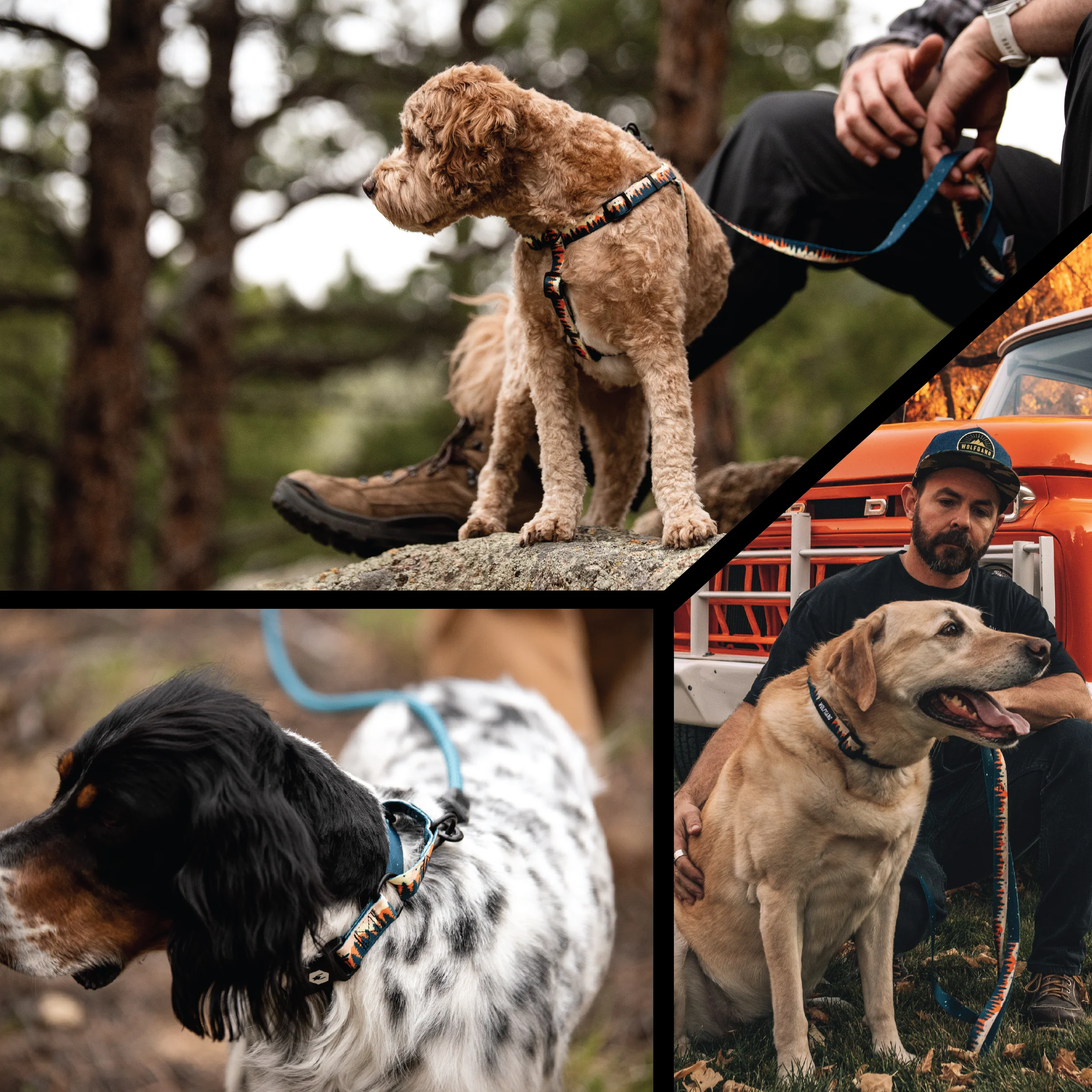 OverLand DOG COLLAR - Image 6