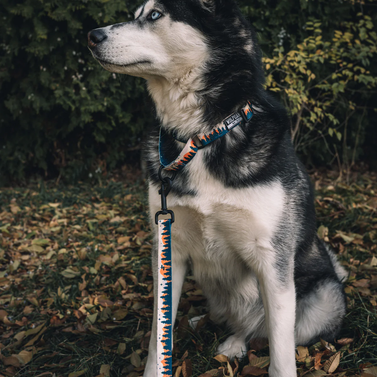 OverLand MARTINGALE DOG COLLAR - Image 4