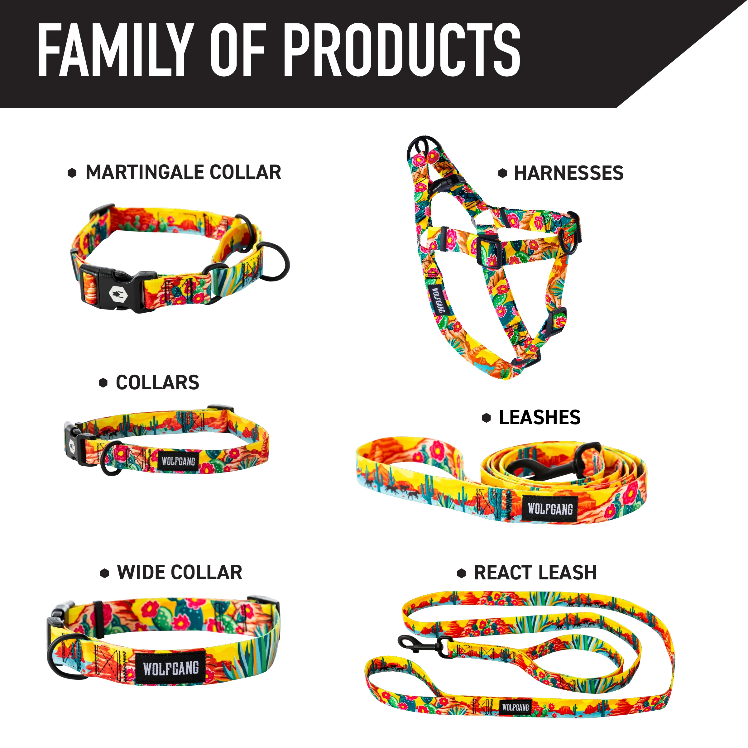 PackLeader Dog Collar - Image 5