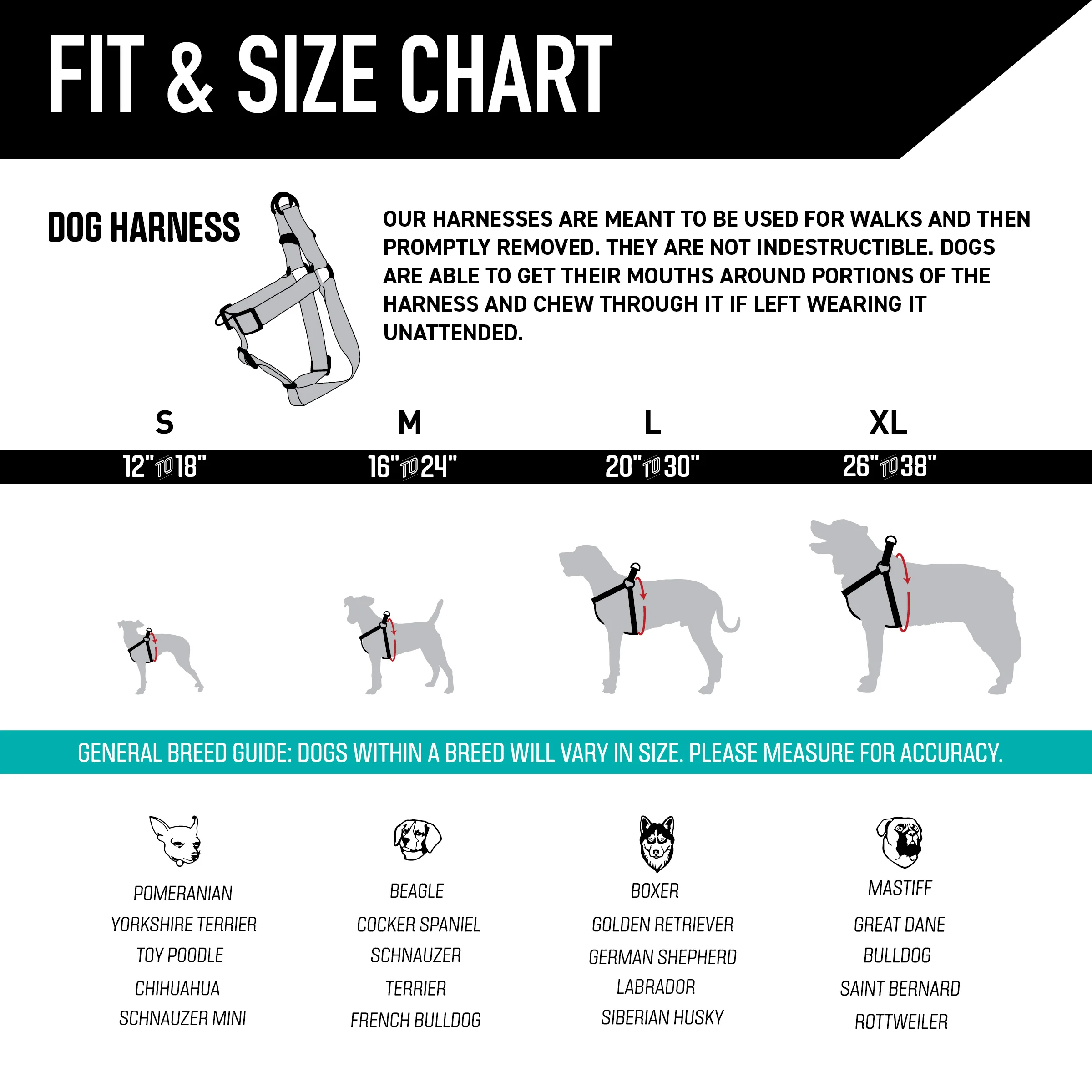 Quetzal Dog Harness - Image 4
