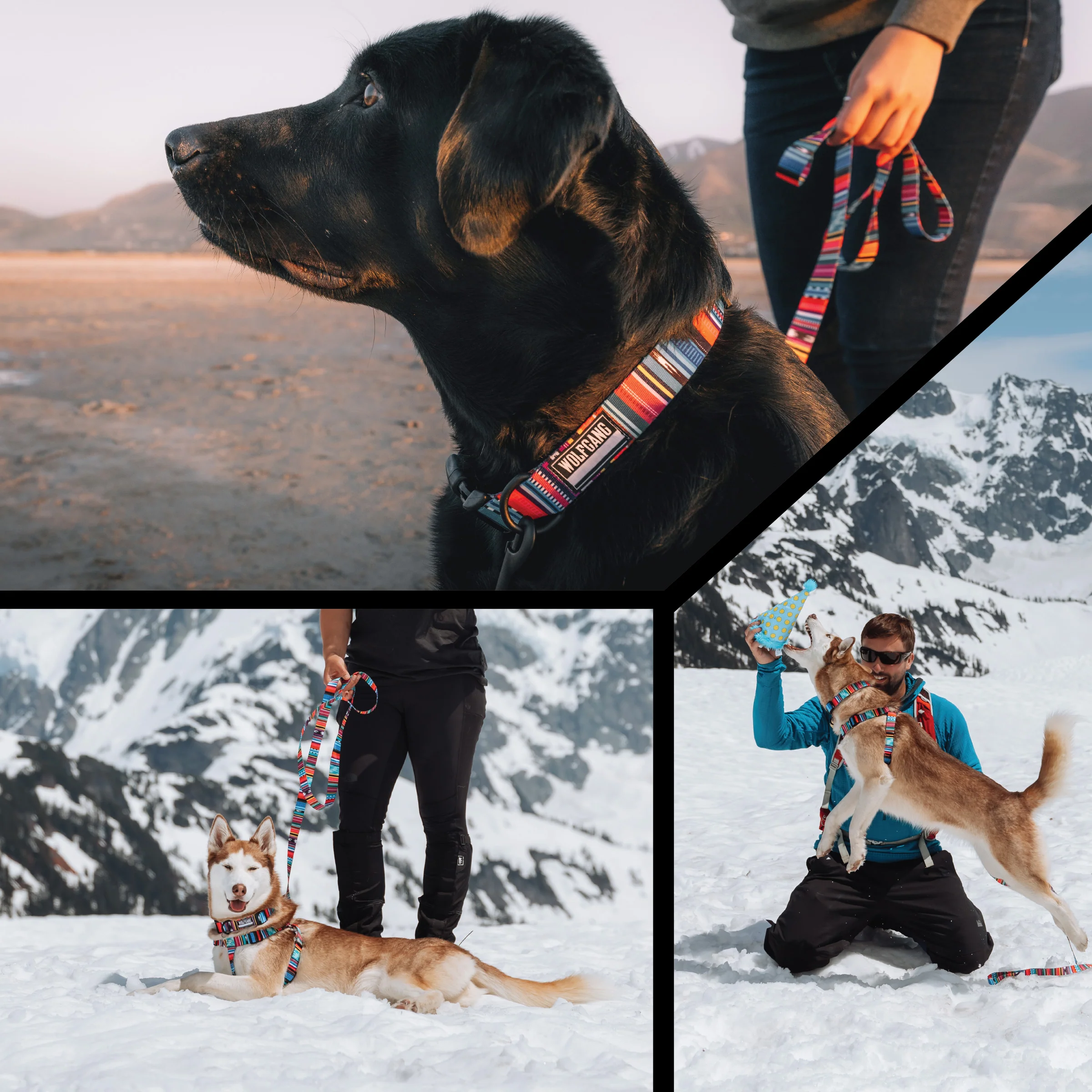 Quetzal Dog Leash - Image 6