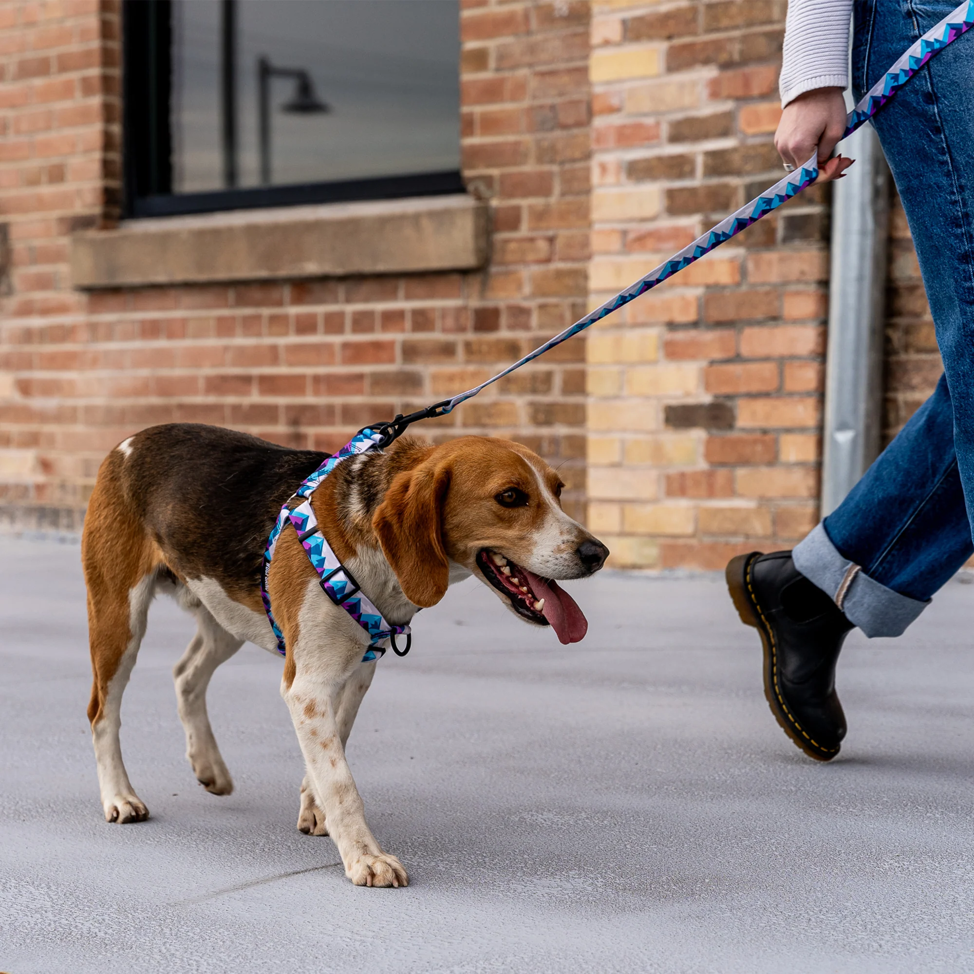 RockyPeaks COMFORT DOG HARNESS - Image 3