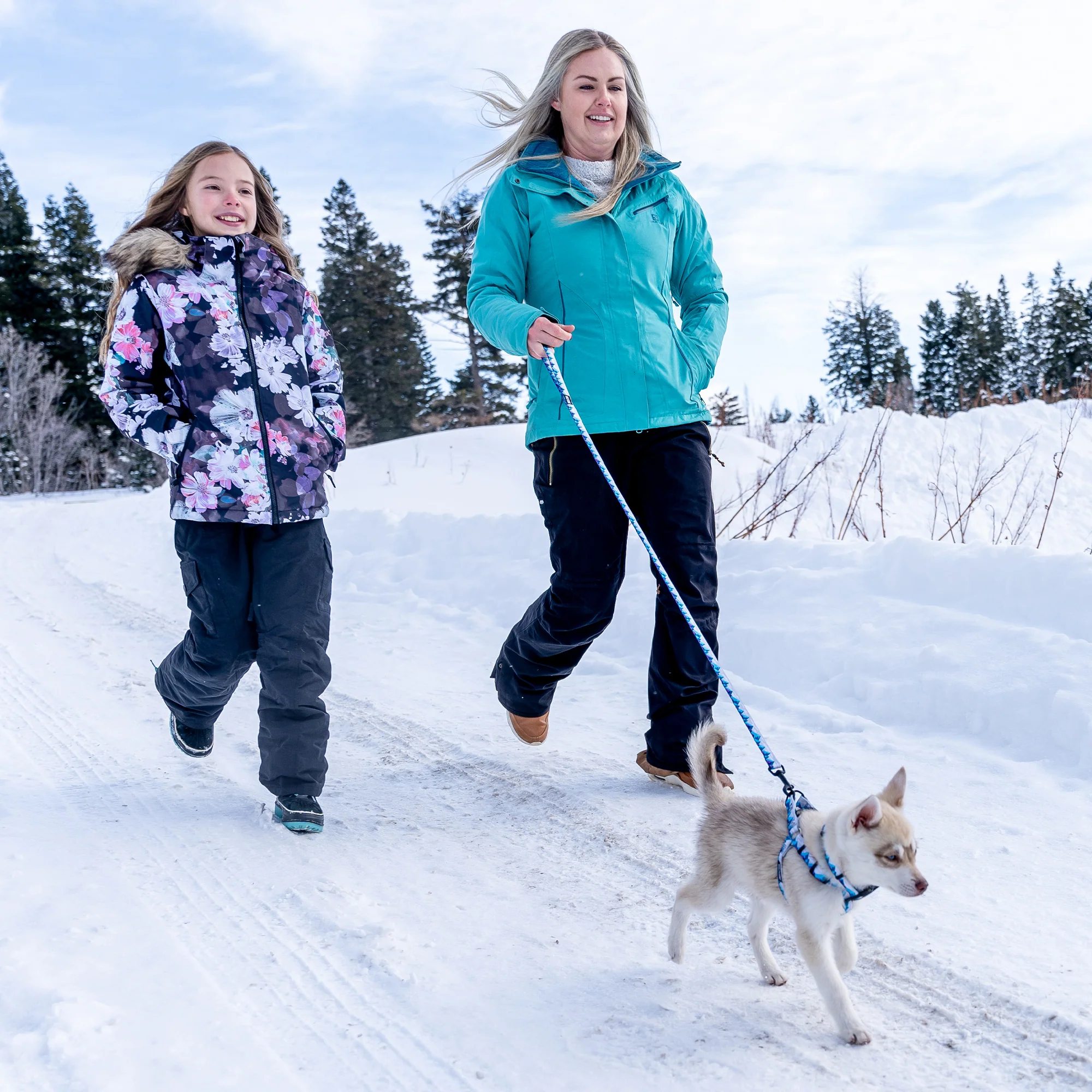 RockyPeaks DOG LEASH - Image 5