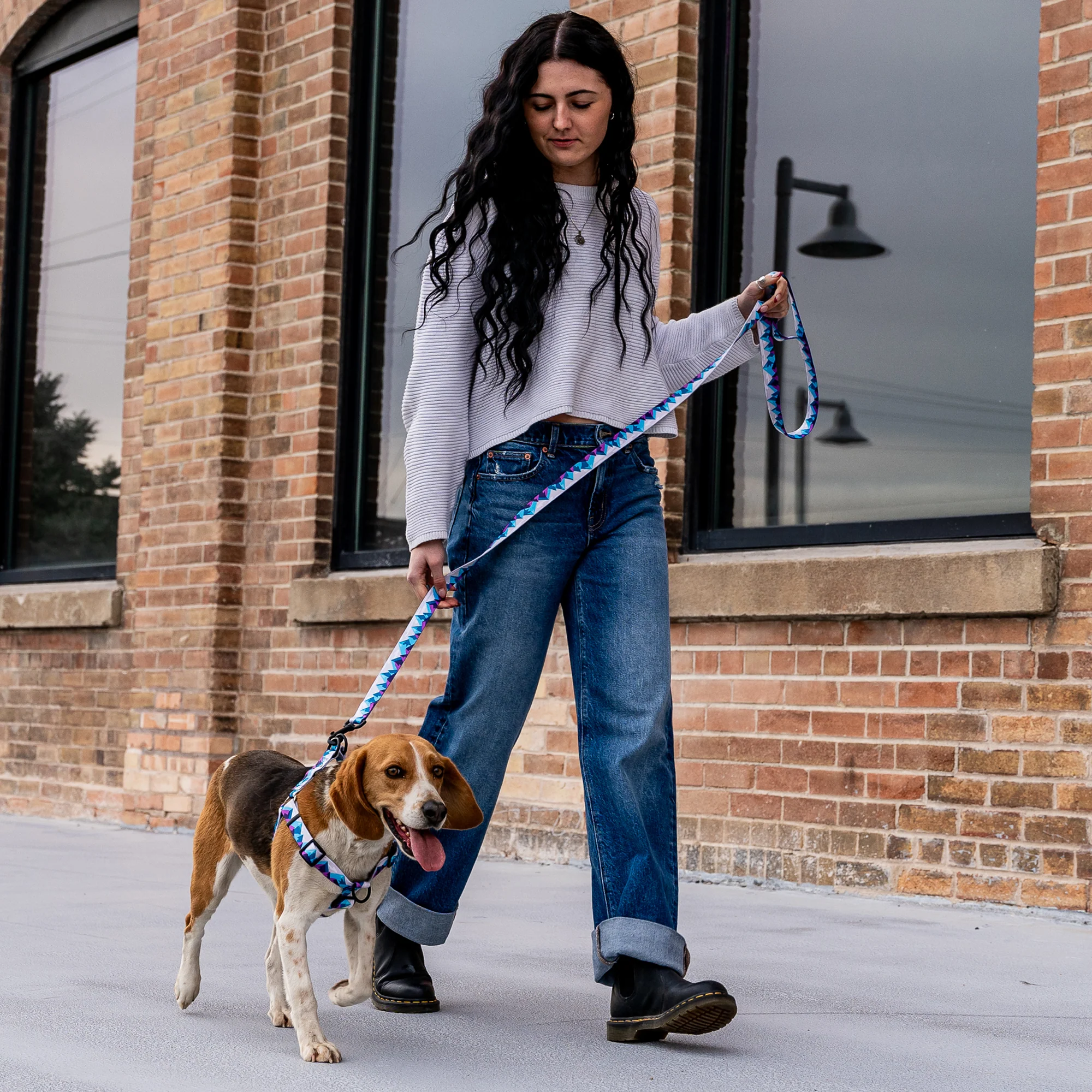 RockyPeaks DOG LEASH - Image 6