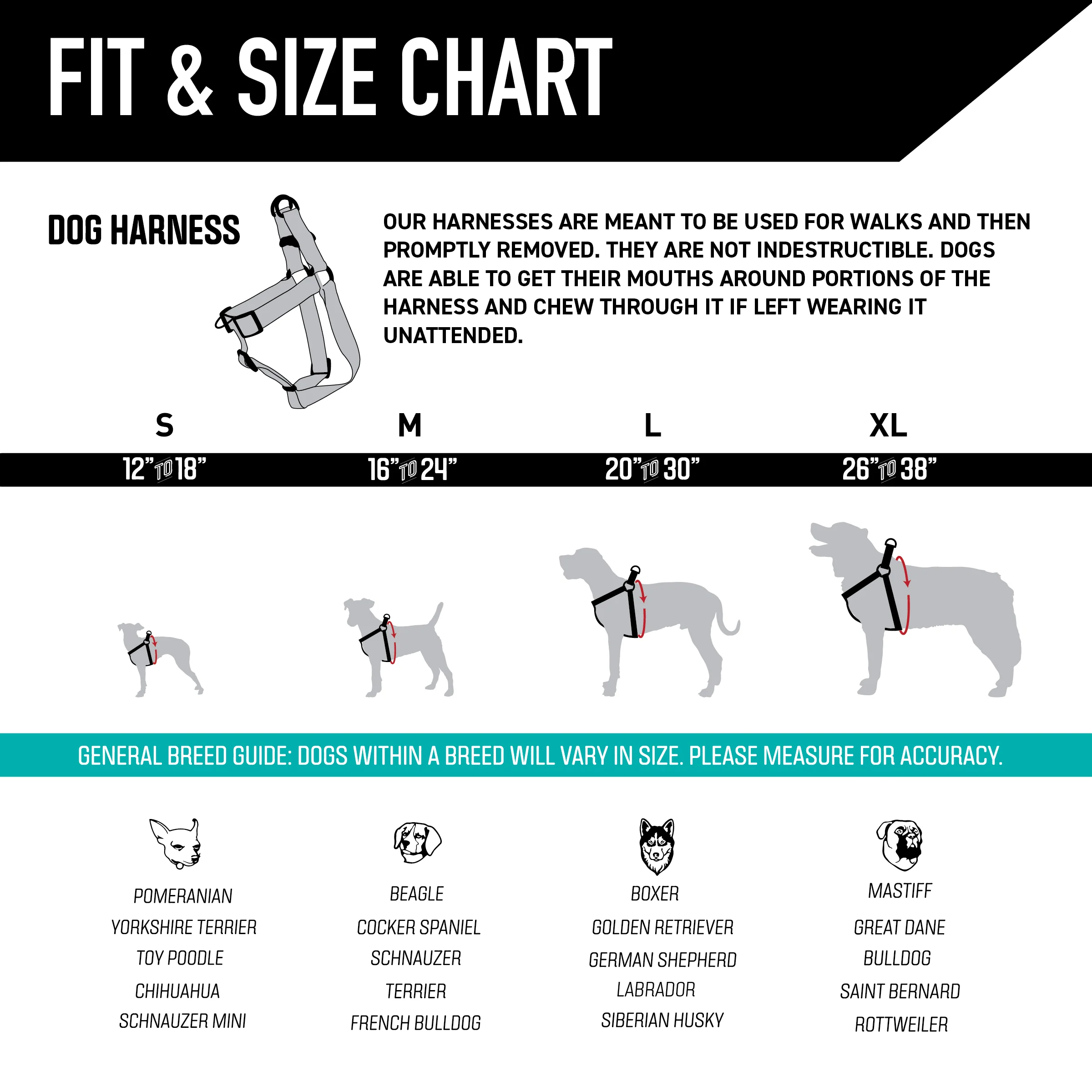 StarryWolf COMFORT DOG HARNESS - Image 5