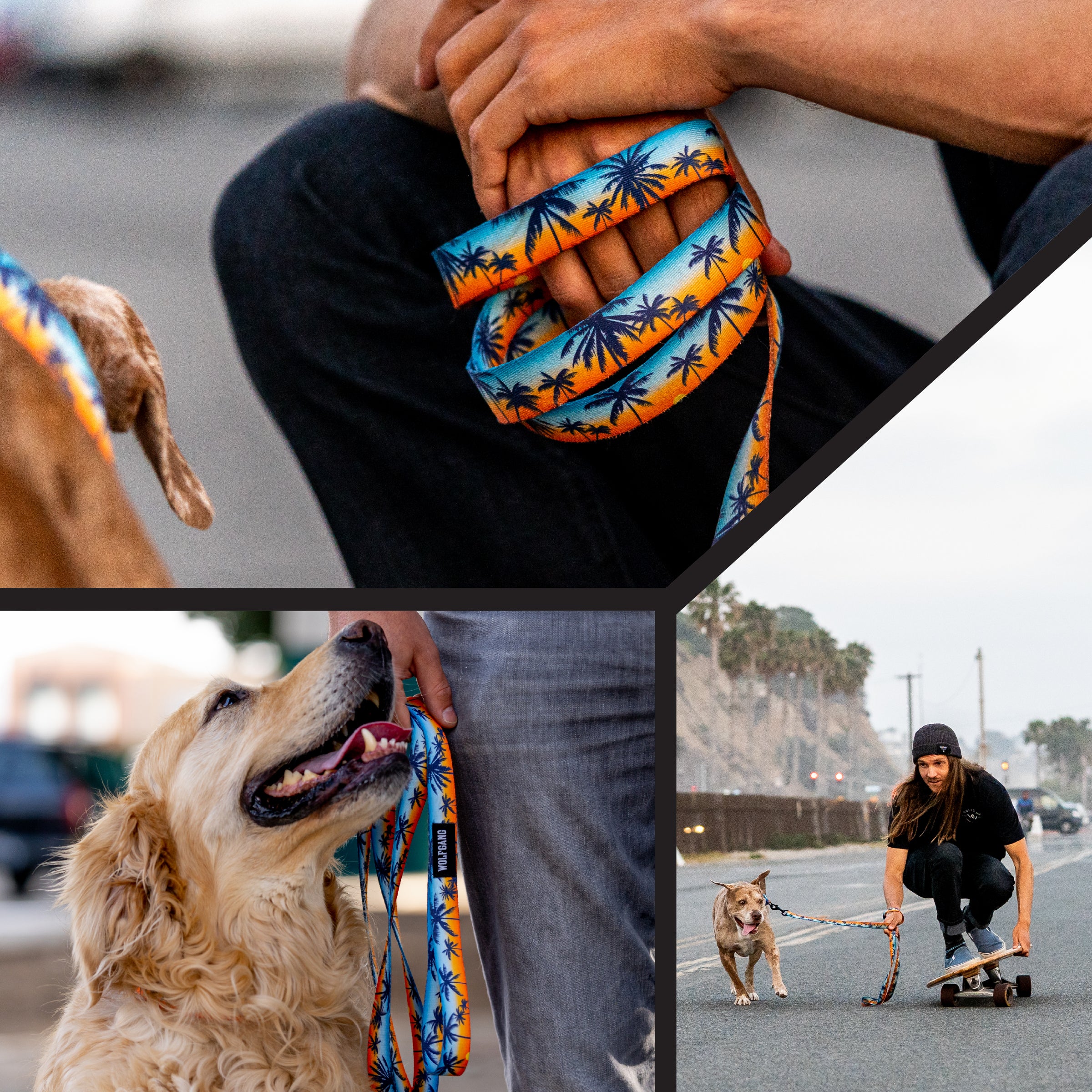 SunsetPalms Dog Leash - Image 6
