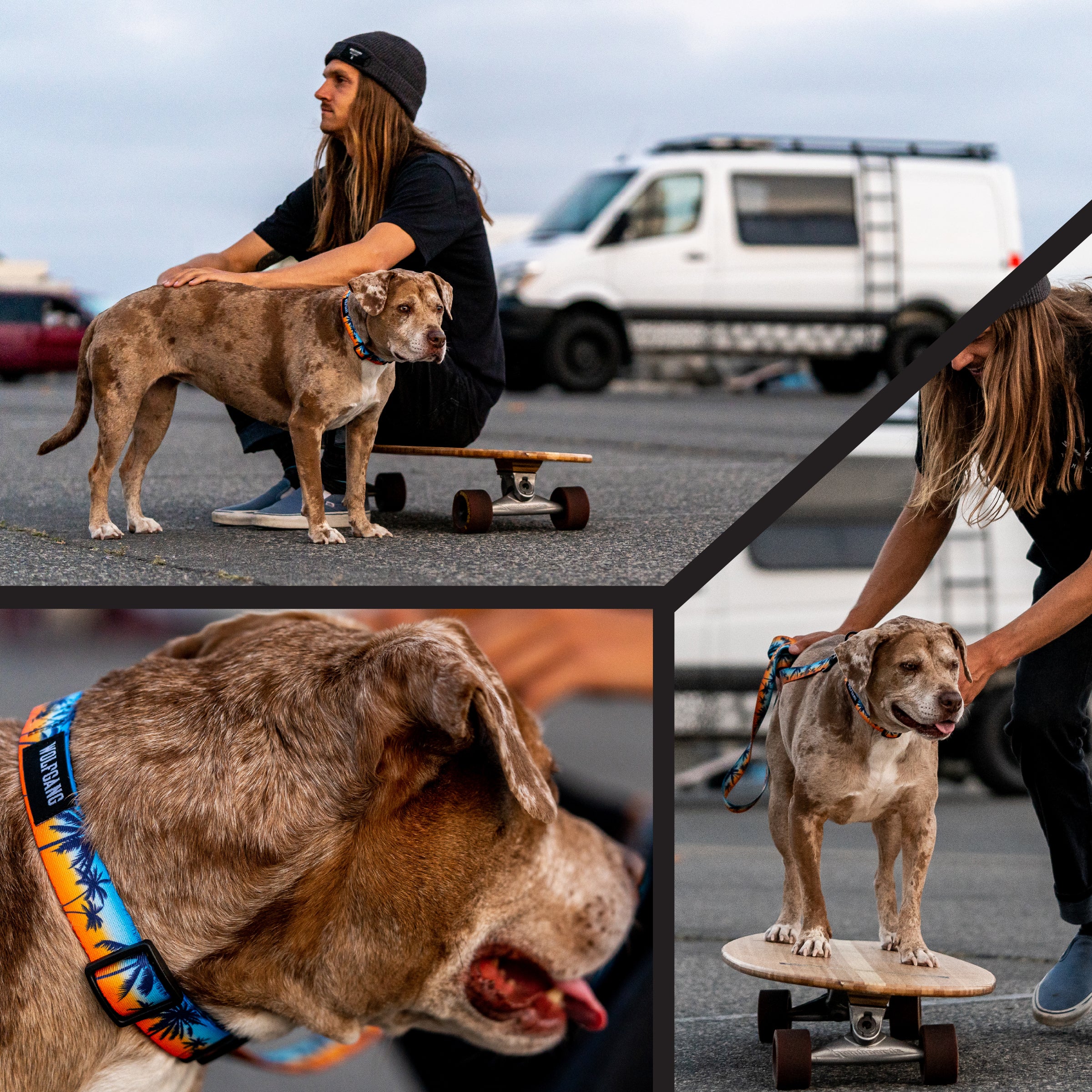 SunsetPalms Dog Collar - Image 6
