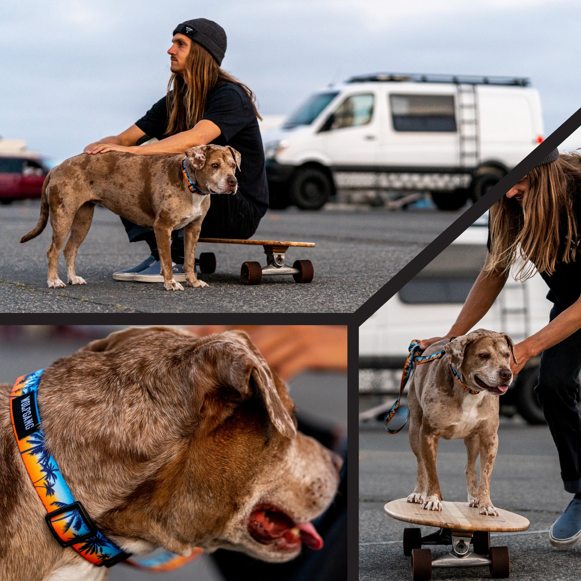 SunsetPalms Wide Dog Collar - Image 5