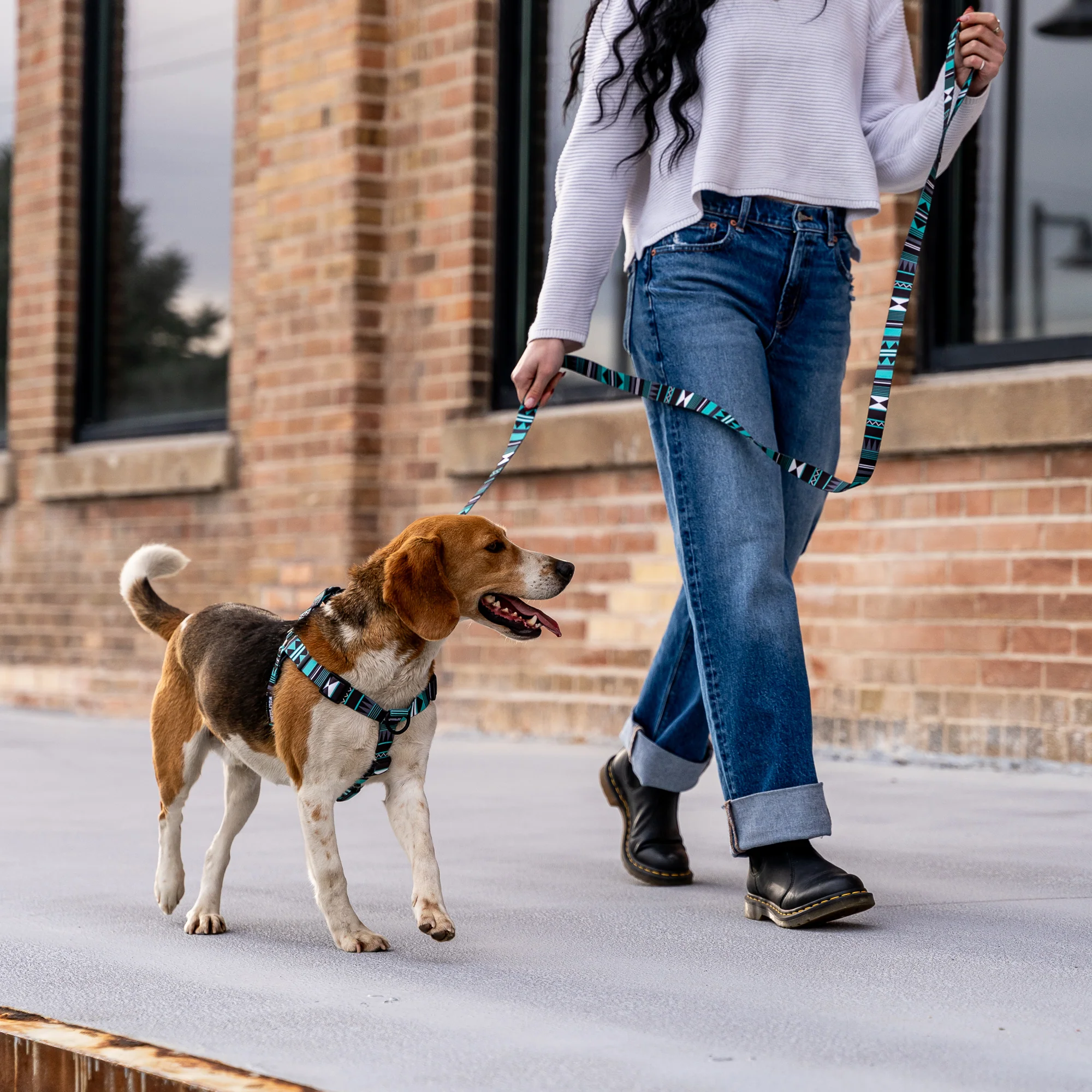 WesternSky COMFORT DOG HARNESS - Image 3
