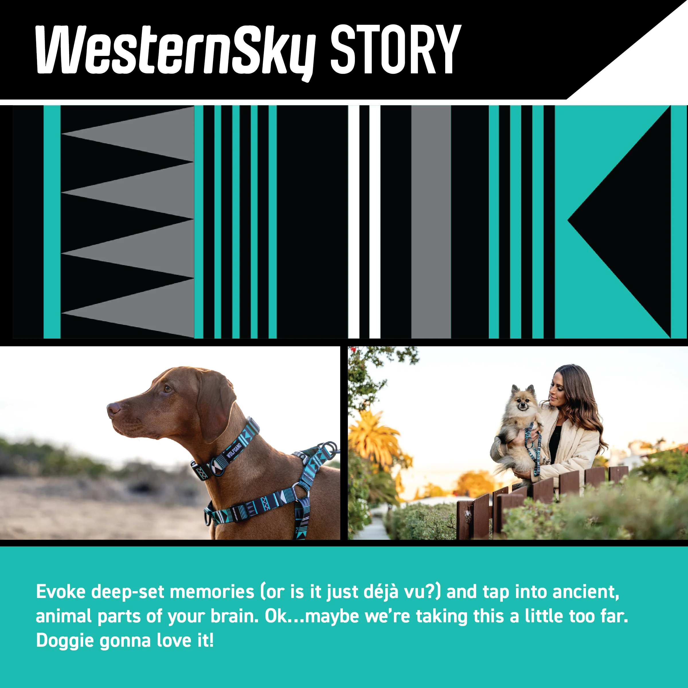 WesternSky Dog Collar - Image 2