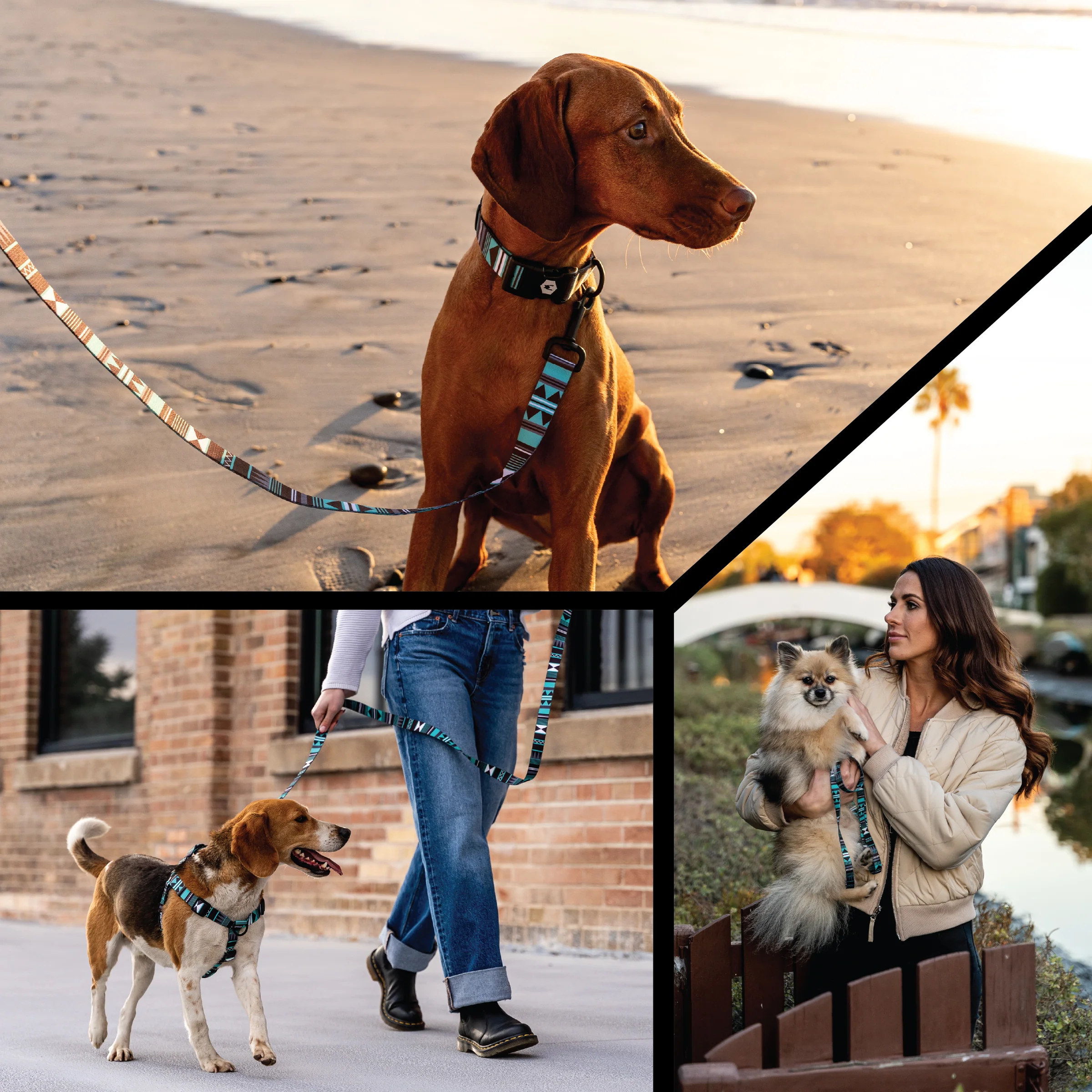 WesternSky Dog Collar - Image 6