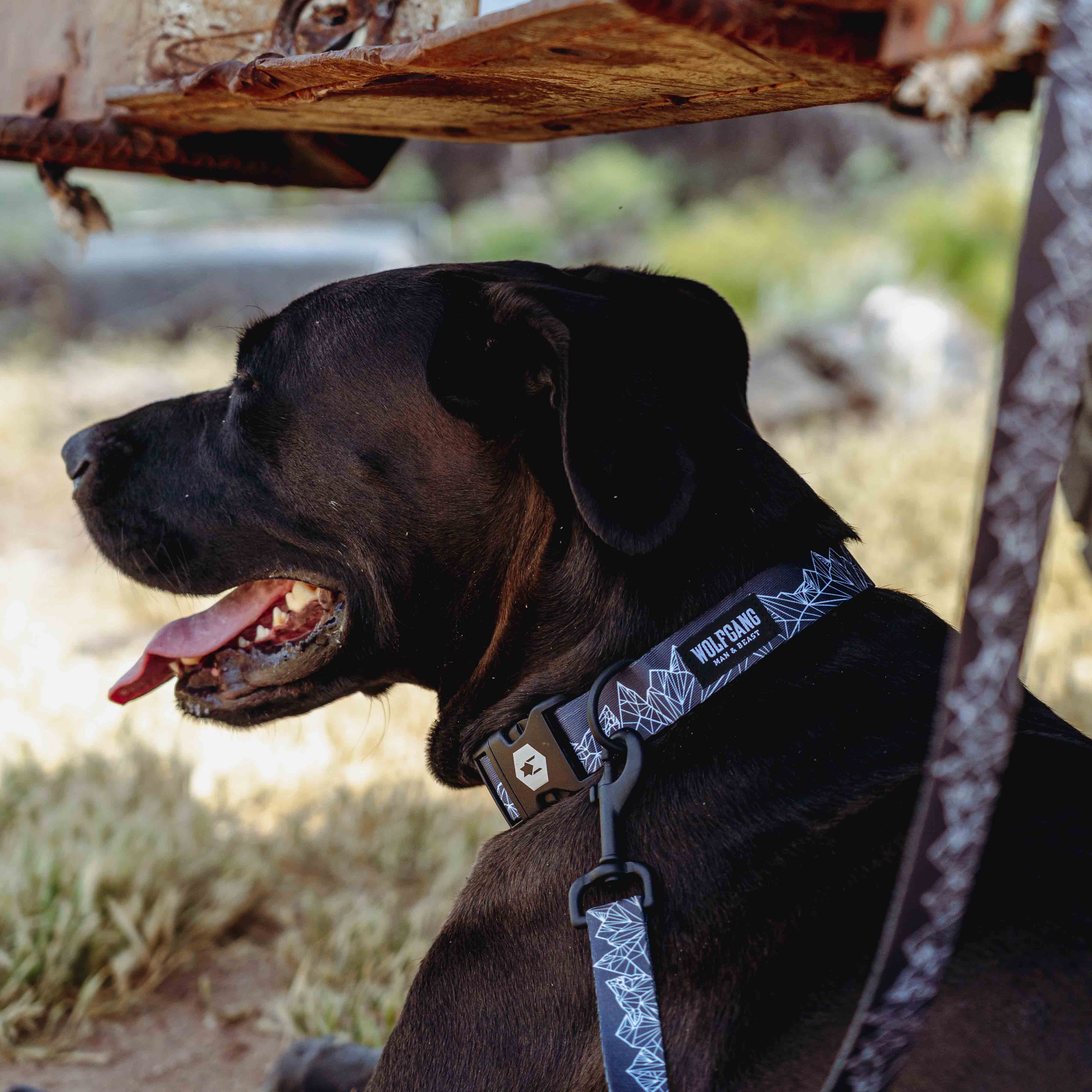 WolfMountain Dog Collar - Image 8