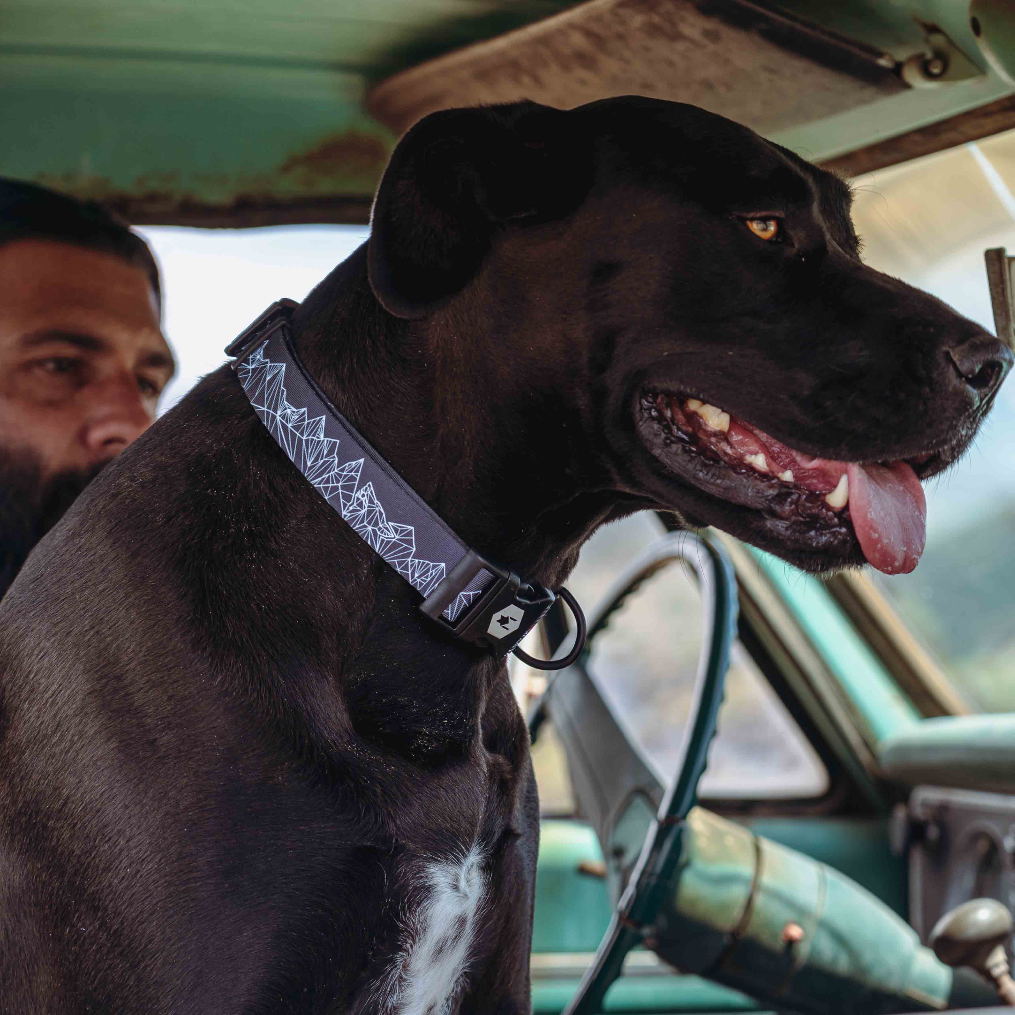 WolfMountain Martingale Dog Collar - Image 3
